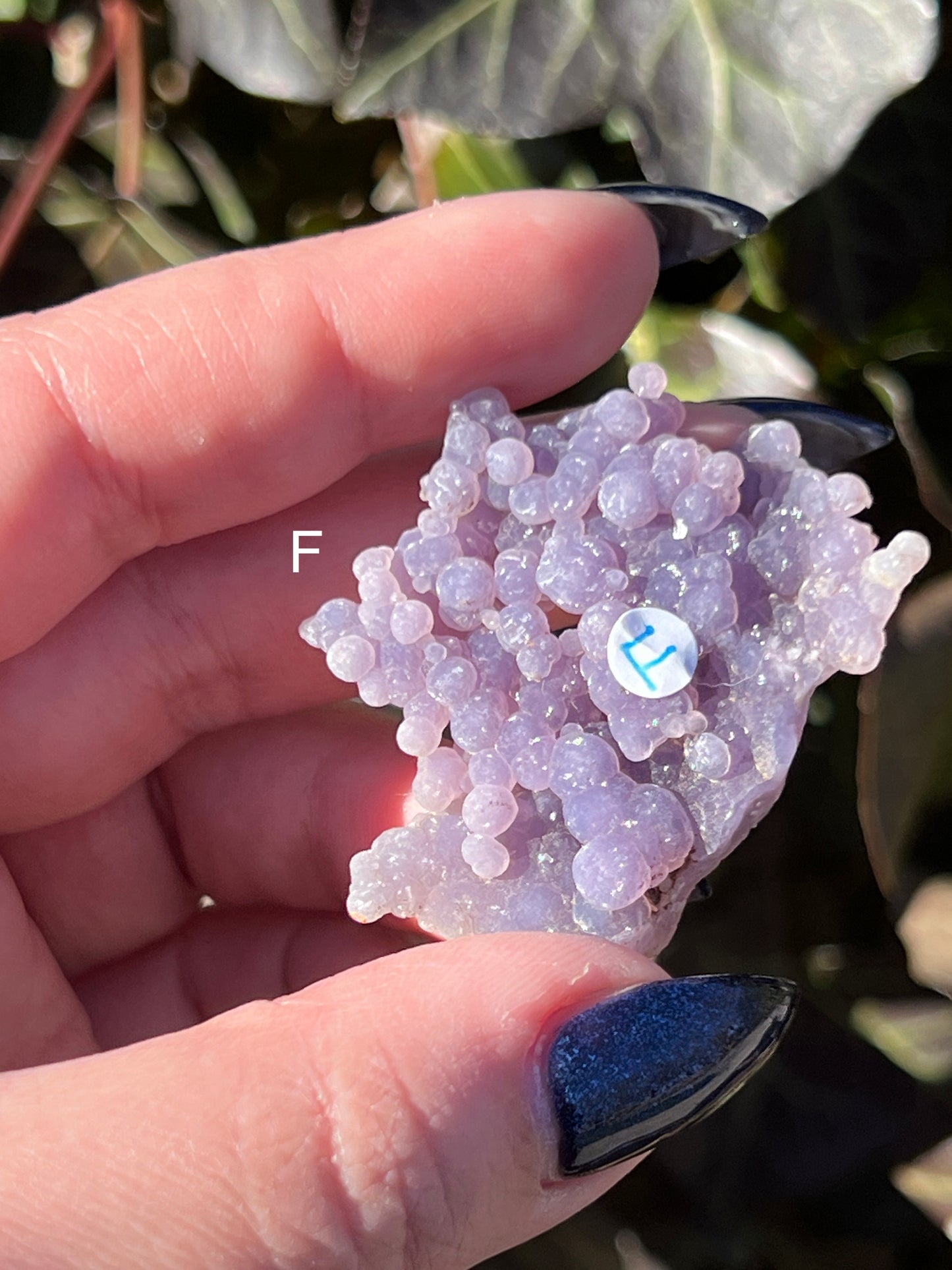 Grape Agate || Choose Your Own Crystal! image 8