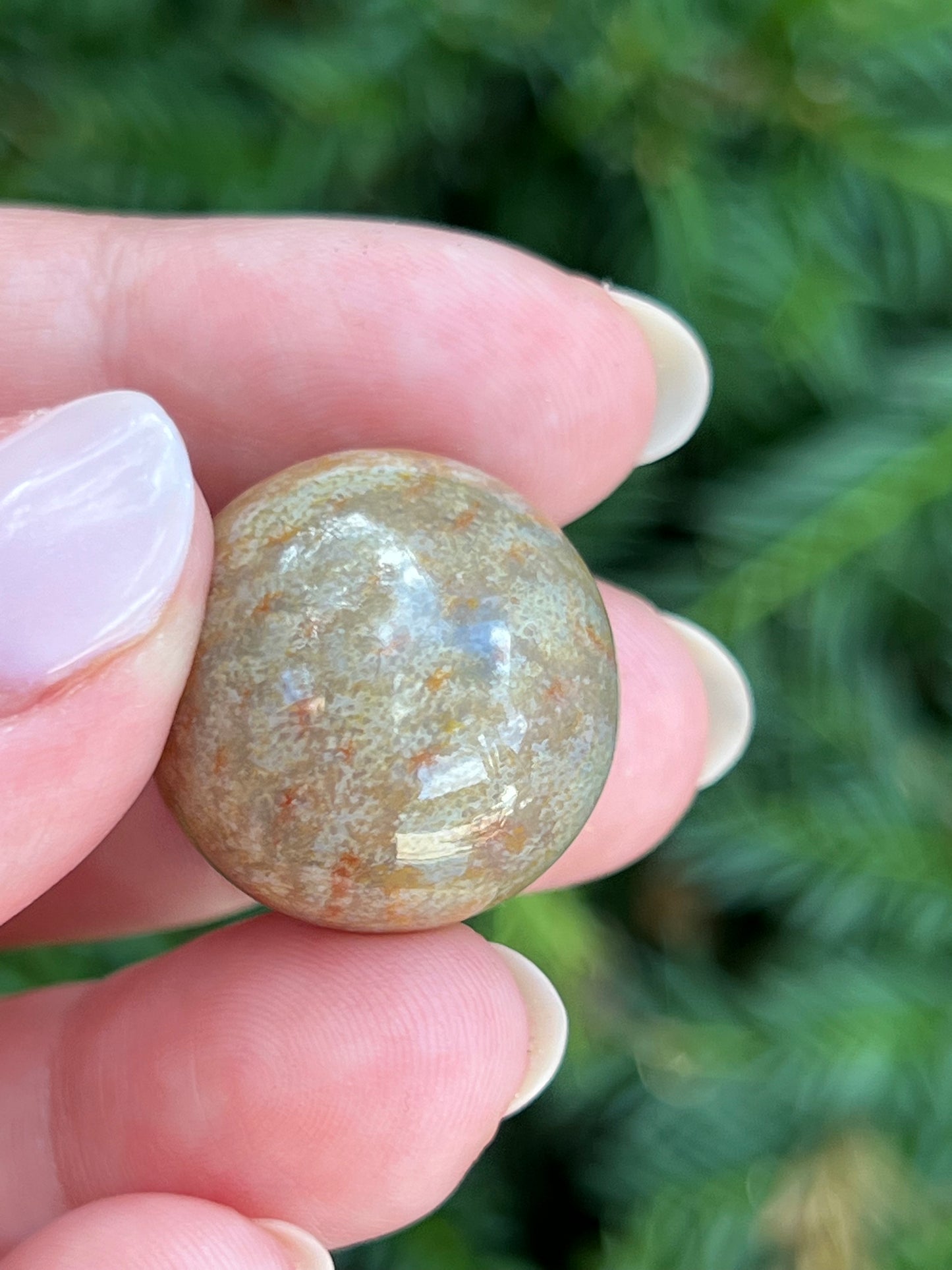 Fossilized Coral Mini Spheres || Intuitively Chosen Mini Spheres