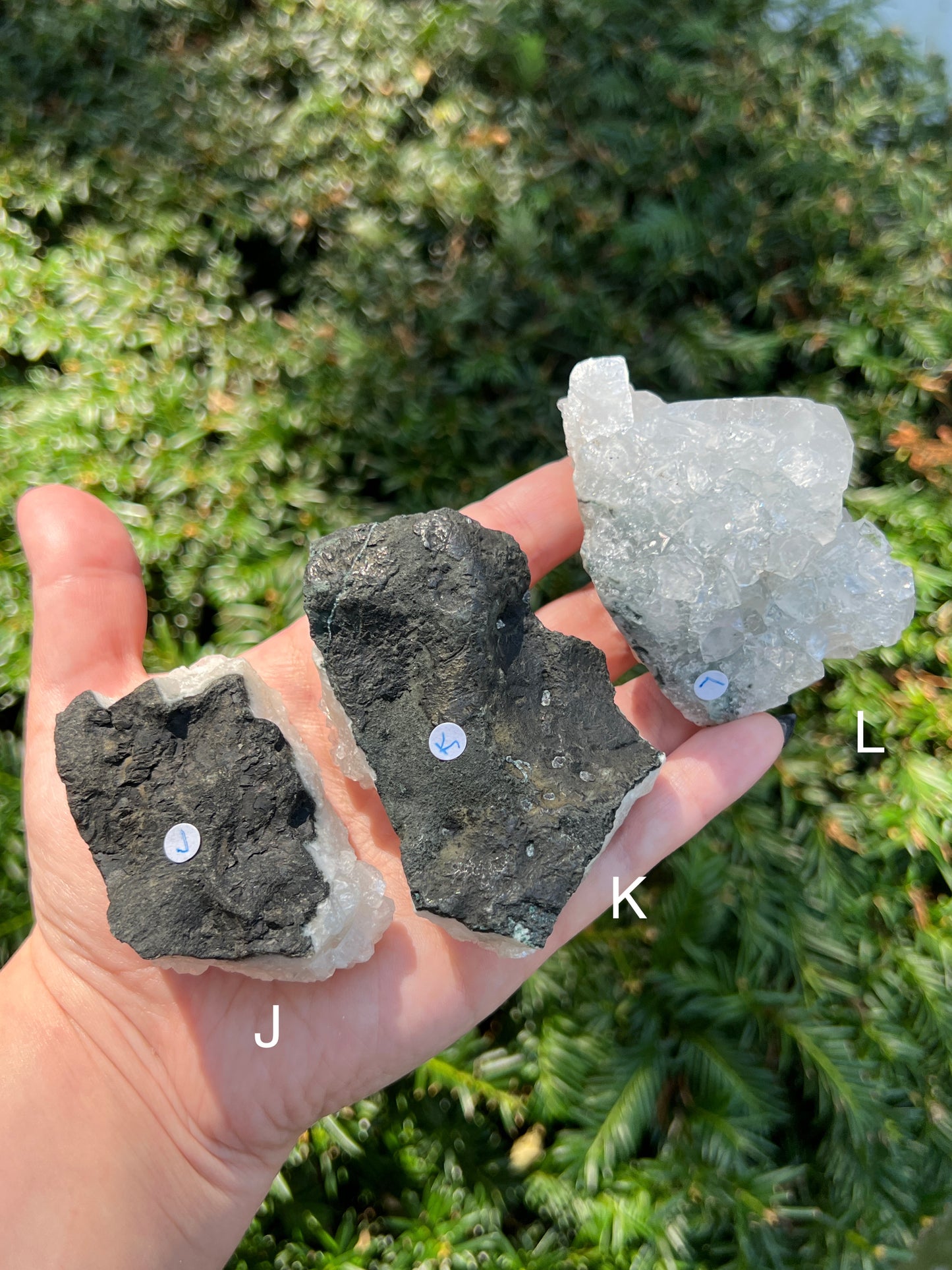 Apophyllite Clusters || Choose Your Own Crystal! image 8