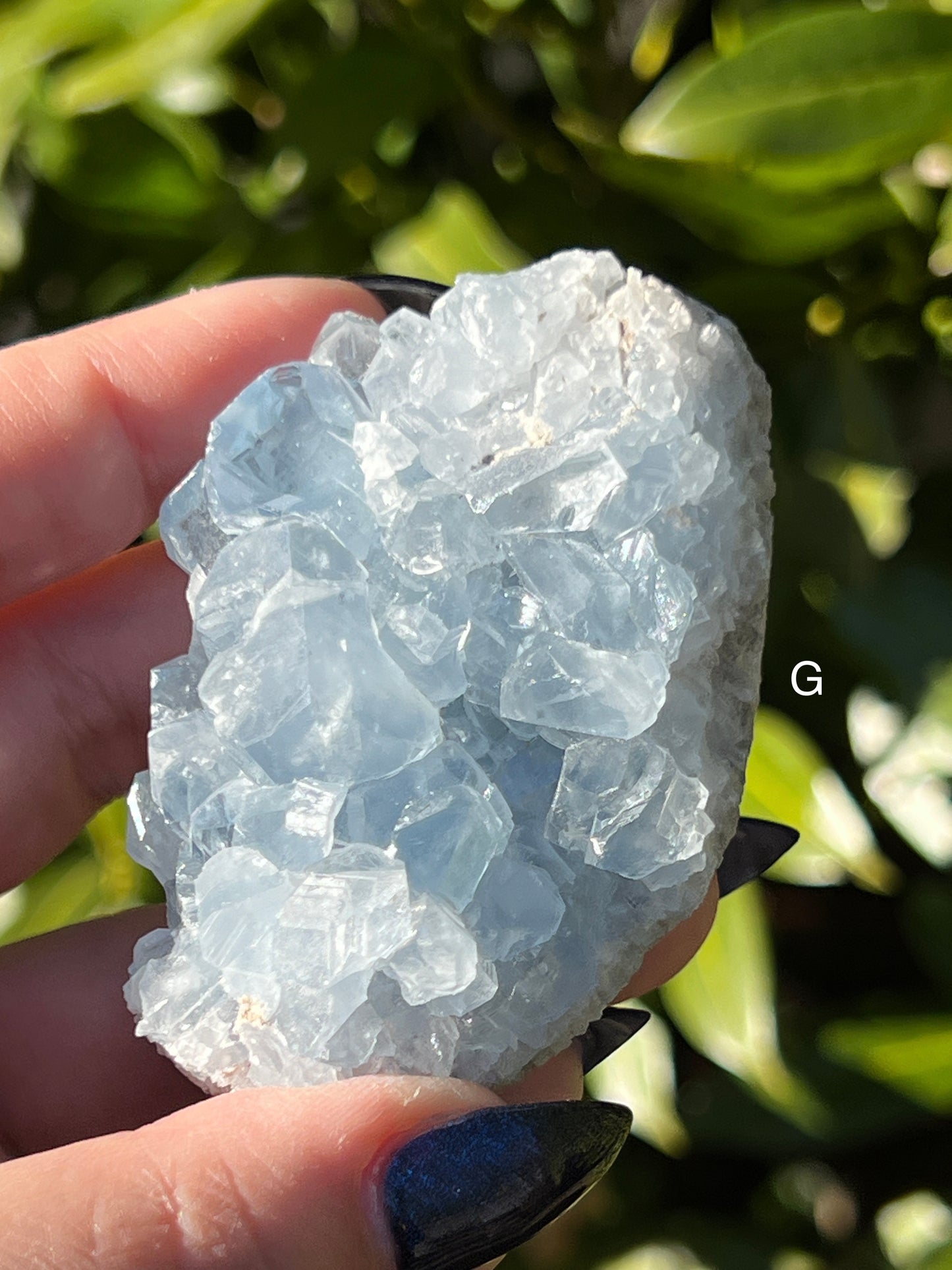 Celestite Clusters || Choose Your Own Crystal!