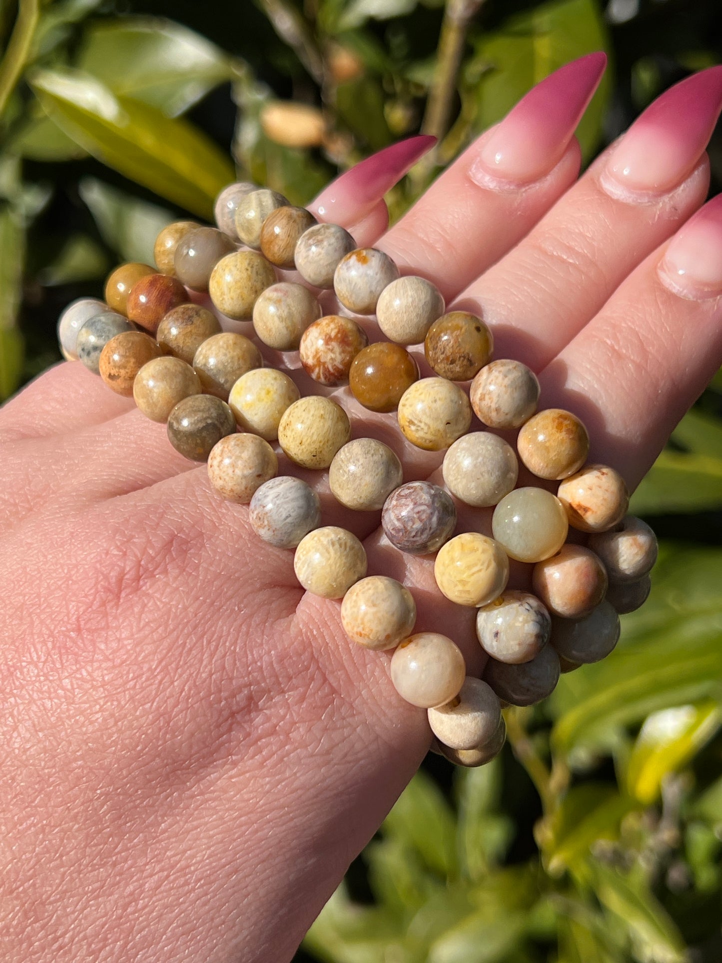 Fossilized Coral Bracelet