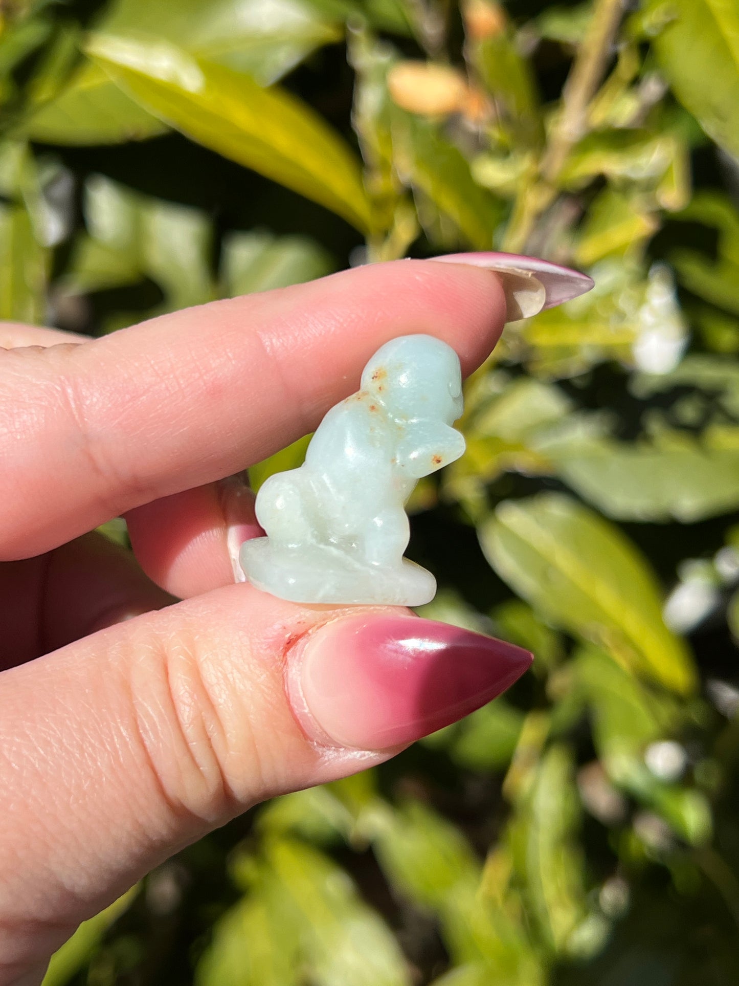 Caribbean Calcite Squirtle || Intuitively Selected Crystal