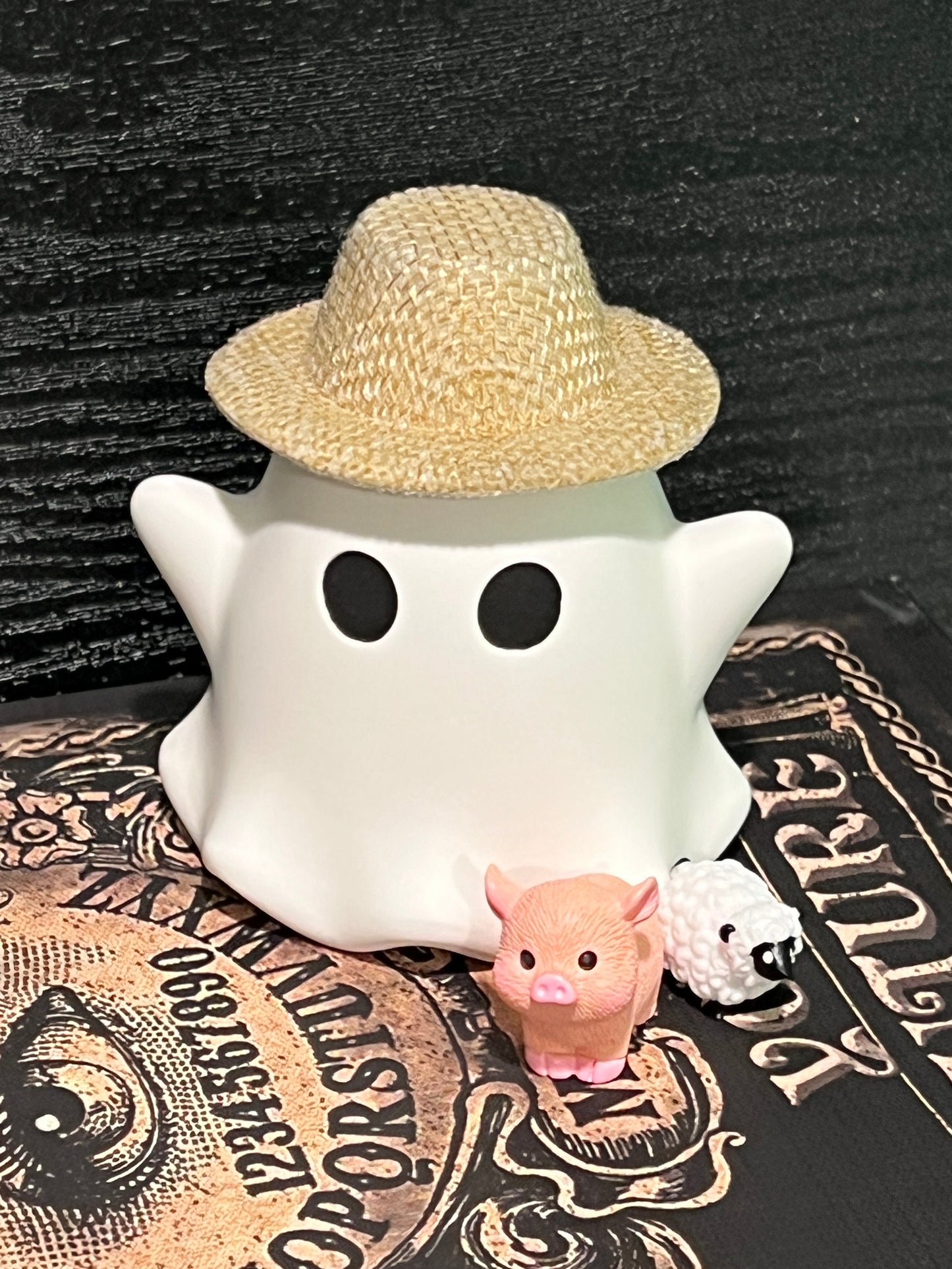 Adopt-A-Ghost Farmer Costume - Wicked Wardrobe Collection