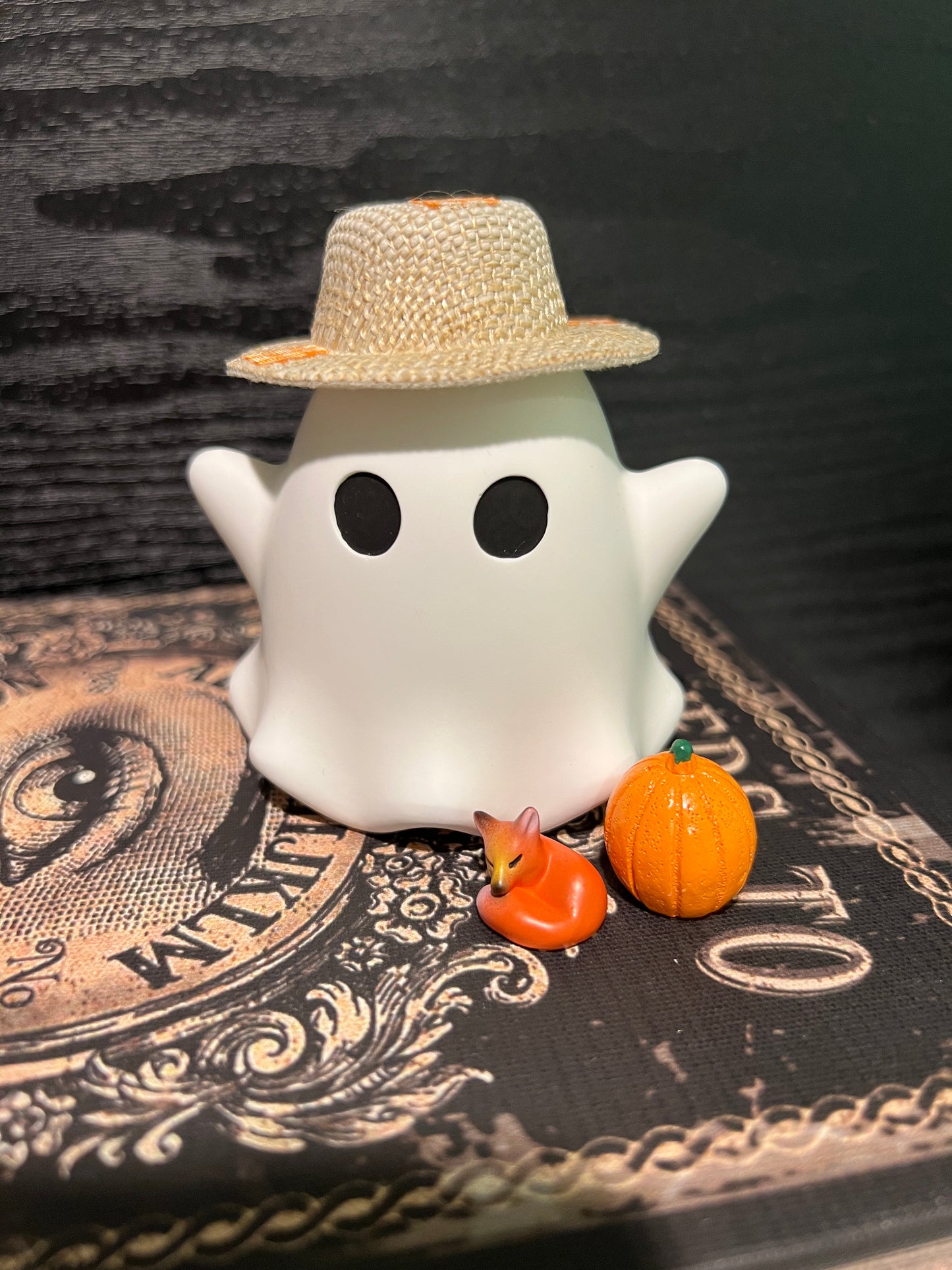 Adopt-A-Ghost Fall Costume - Wicked Wardrobe Collection