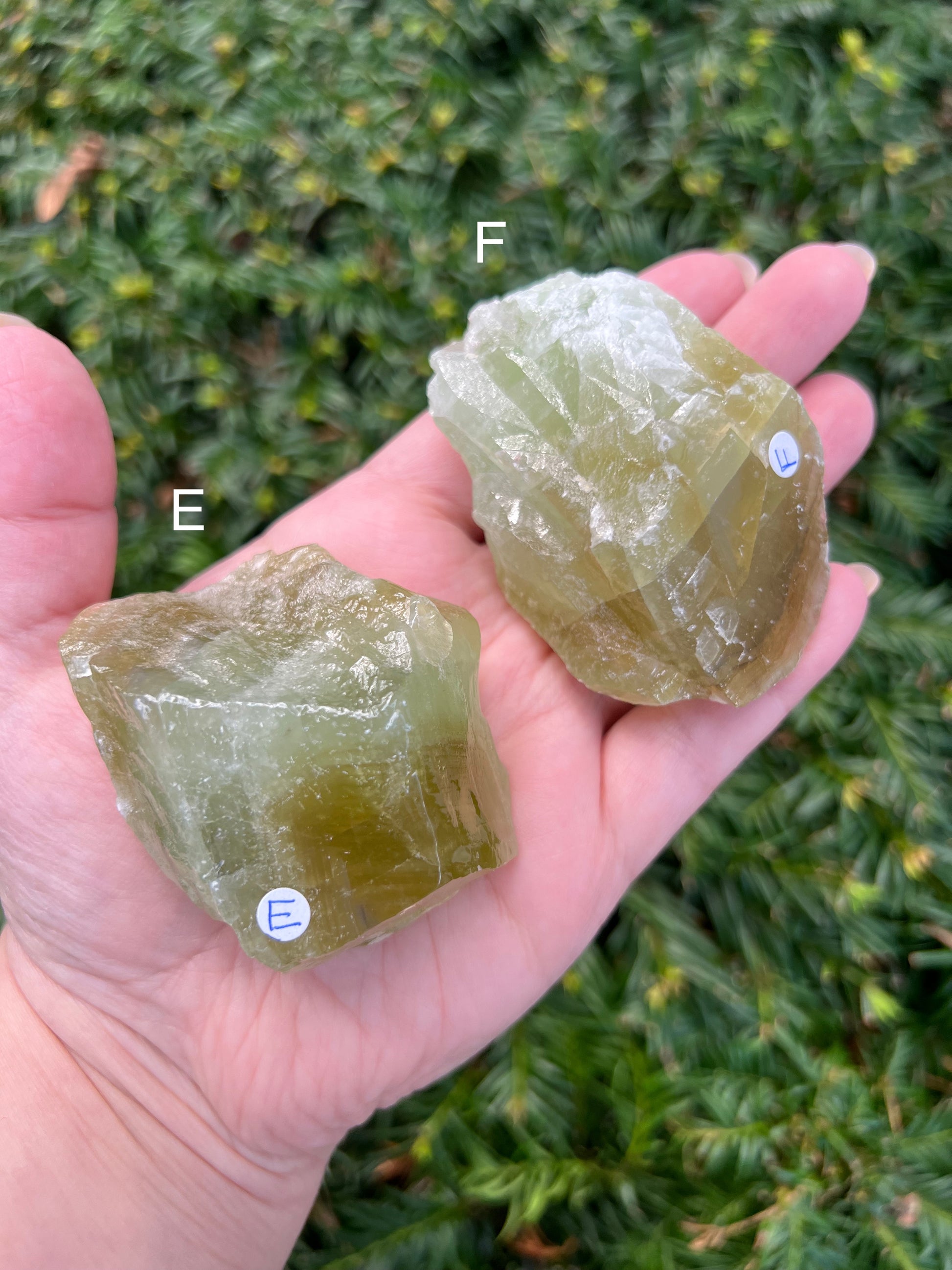 Green Calcite Chunks || Choose Your Own Crystal! image 6