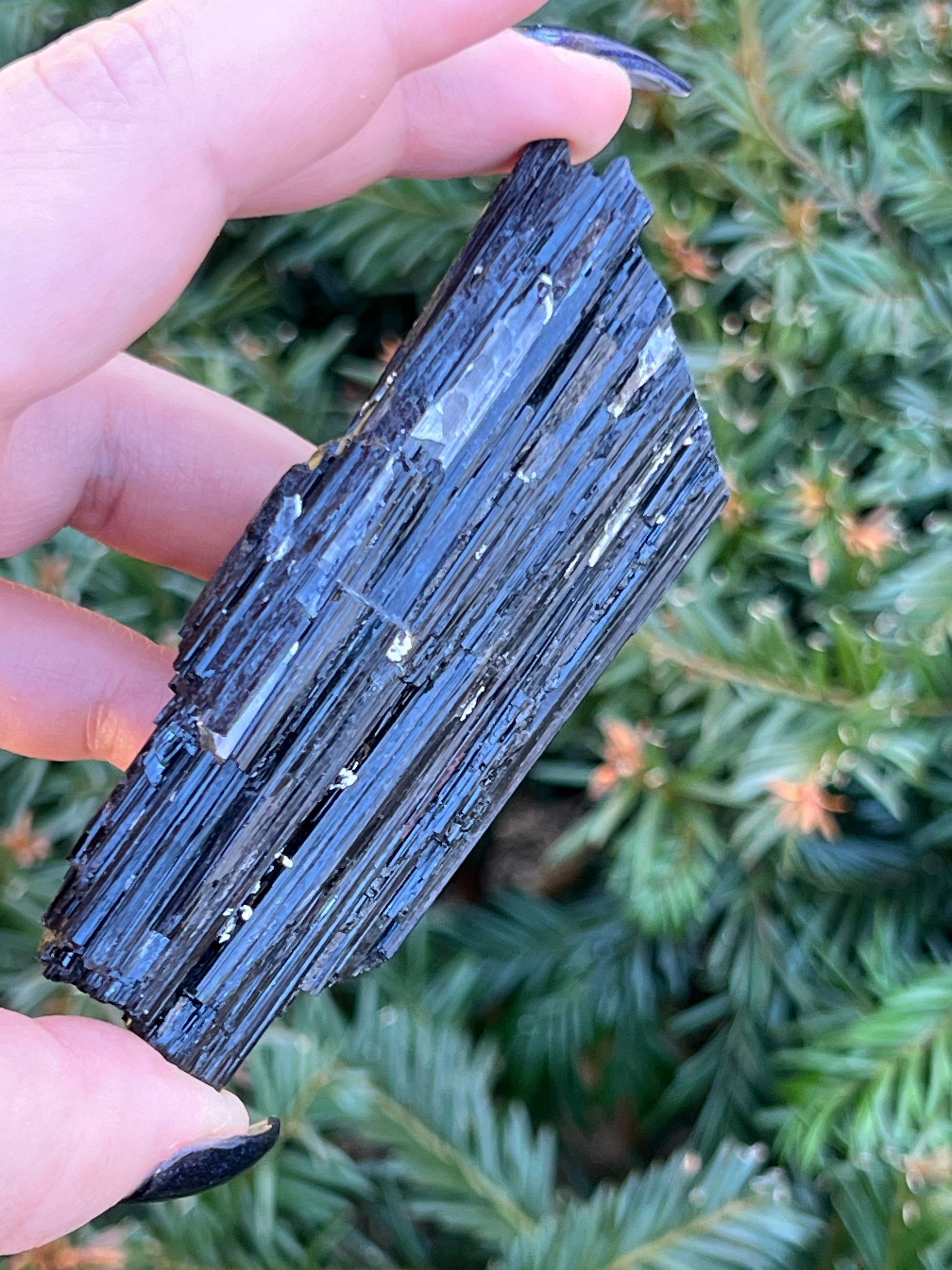 Raw Black Tourmaline || Intuitively Selected Crystal image 7