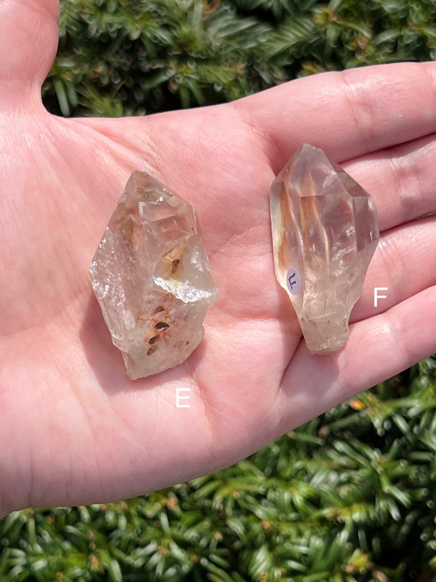 Angel Amphibole Lemurian Quartz || Choose Your Own Crystal! image 4