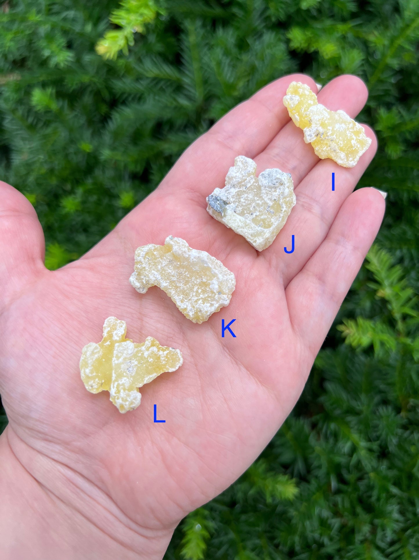 Yellow Brucite Specimens || Pick Your Own Rare Yellow Brucite! image 5