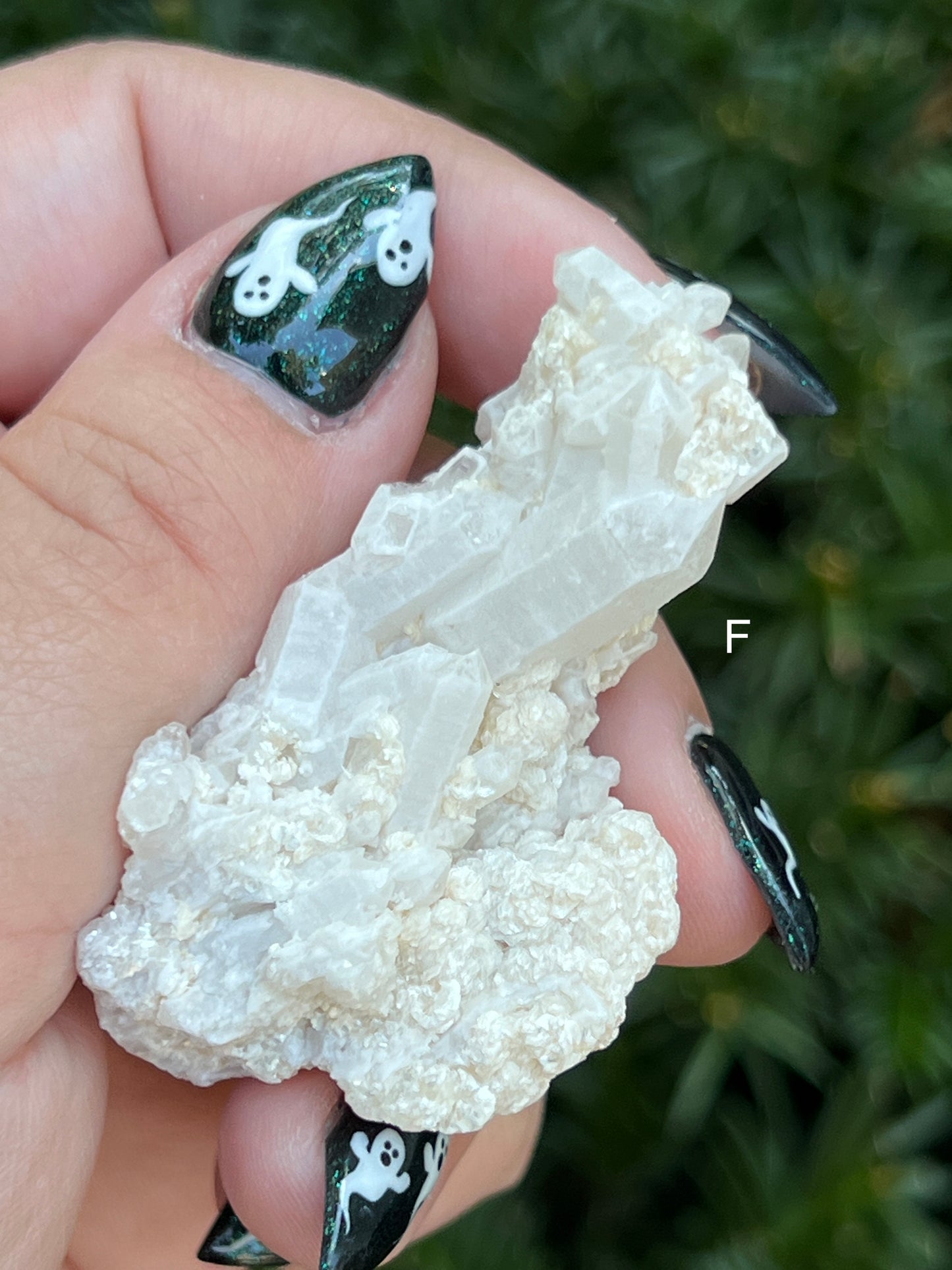 Goddess Quartz Clusters || Choose Your Own Crystal!