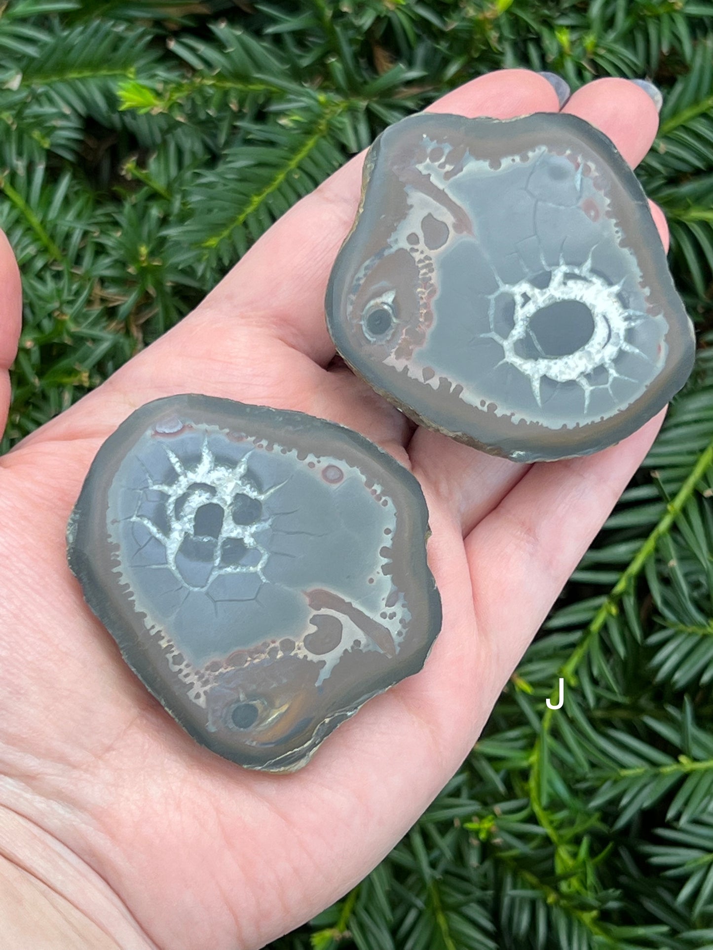 Septarian Nodes || Choose Your Own Crystal!