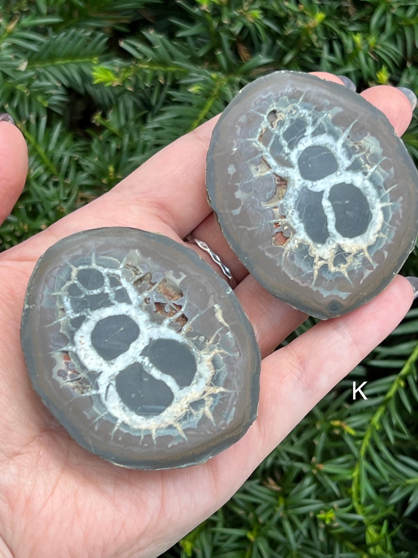 Septarian Nodes || Choose Your Own Crystal!