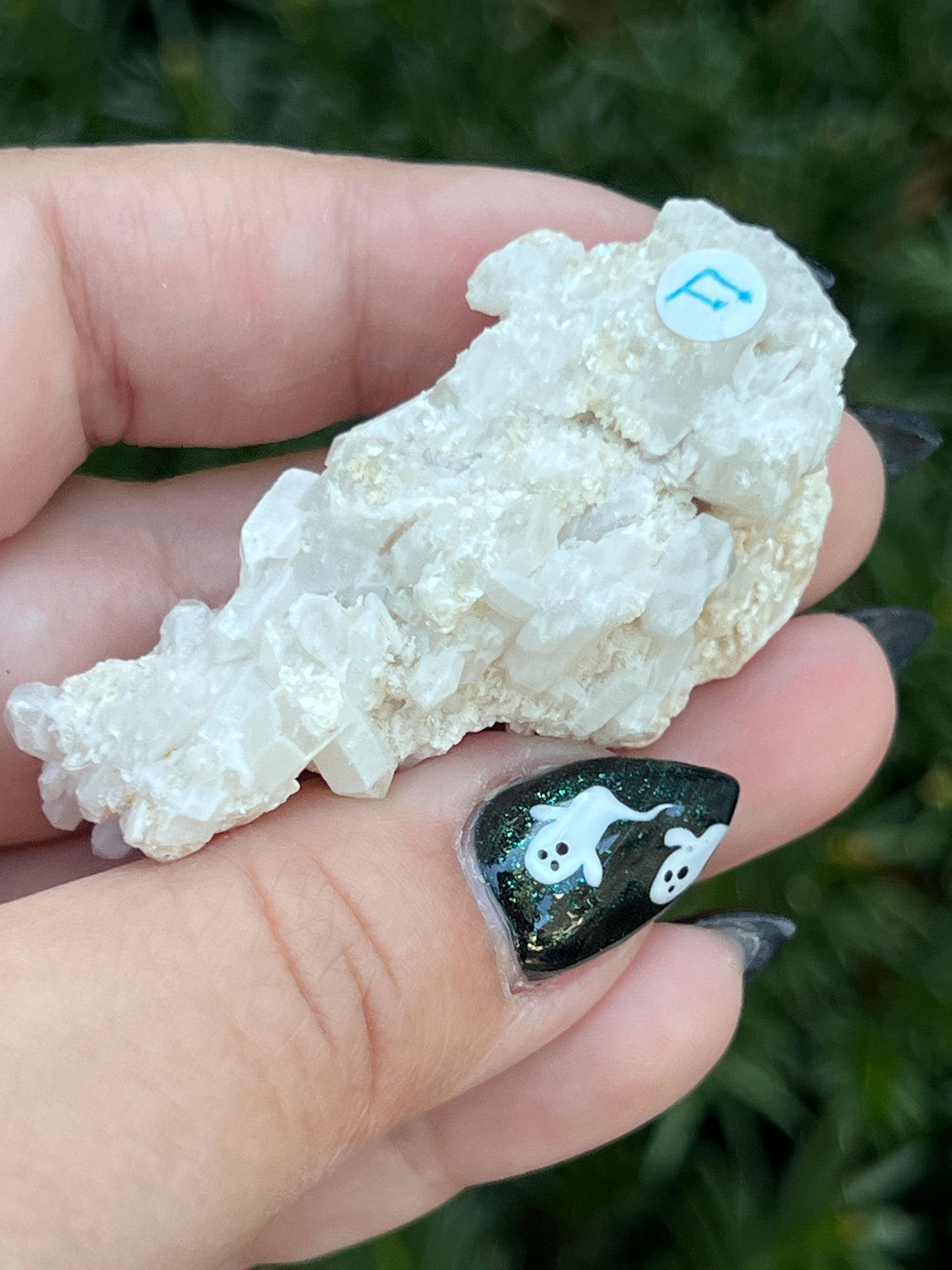 Goddess Quartz Clusters || Choose Your Own Crystal!