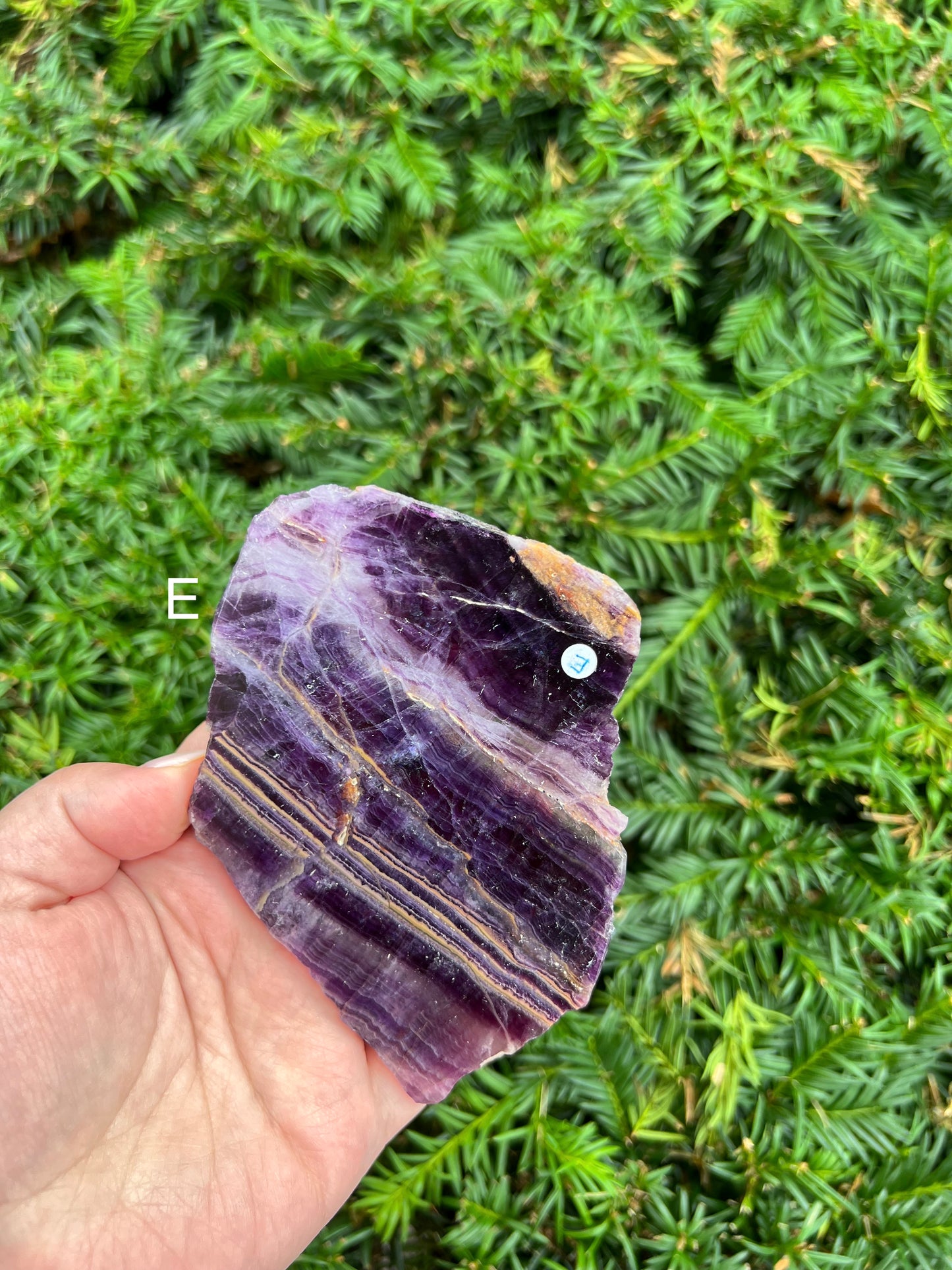 Fluorite Slabs || Choose Your Own Crystal!