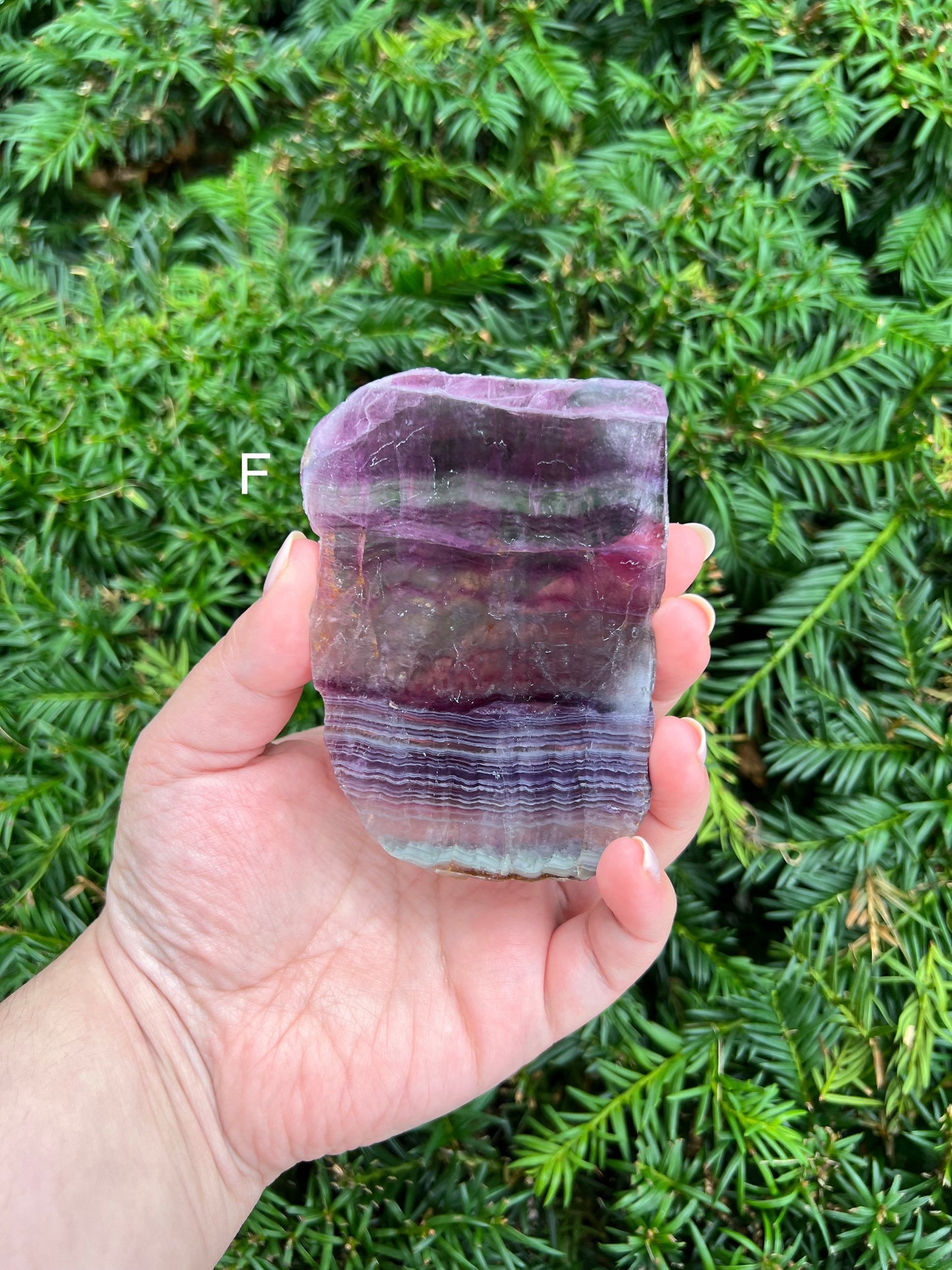 Fluorite Slabs || Choose Your Own Crystal!