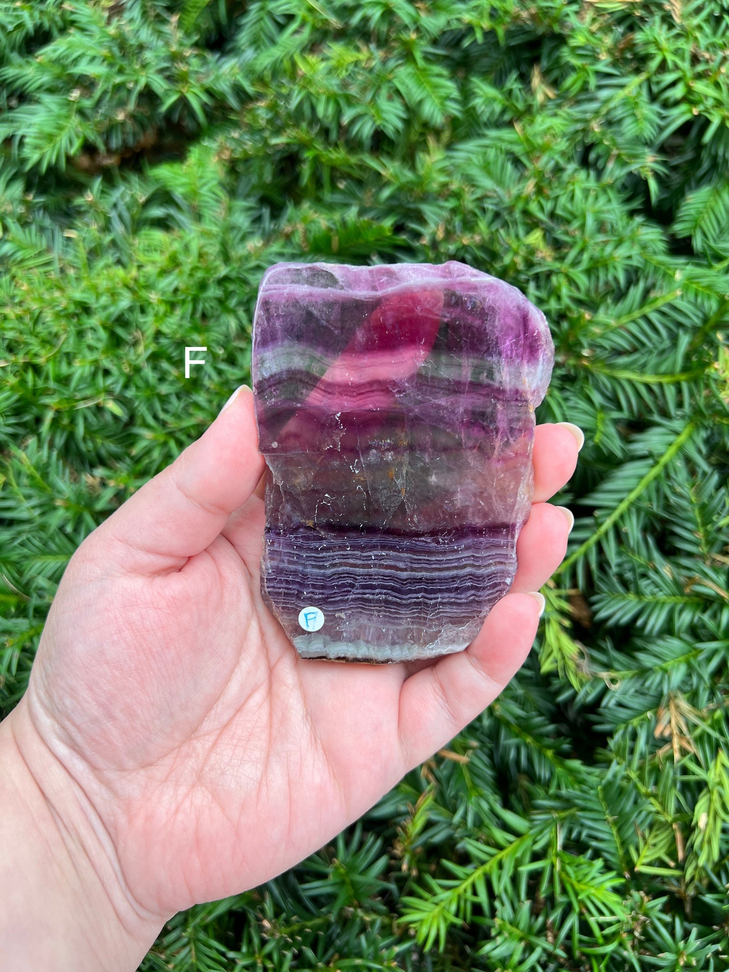 Fluorite Slabs || Choose Your Own Crystal!