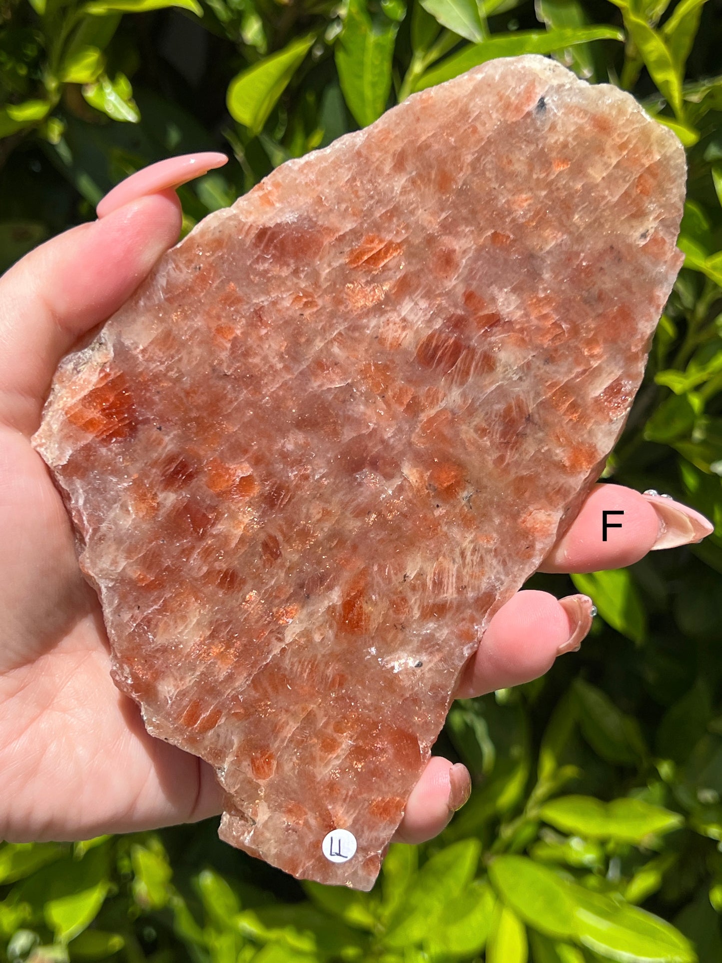 Sunstone Slabs || Choose Your Own Crystal