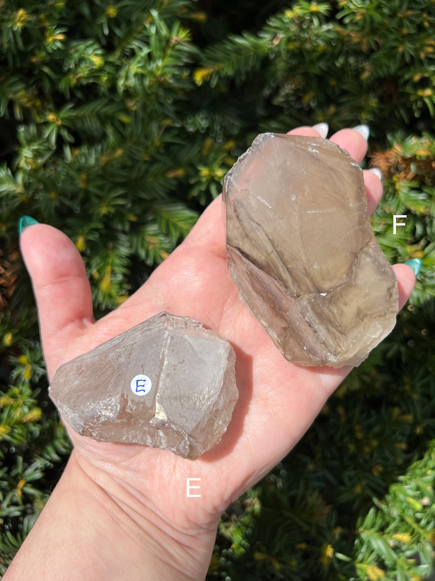 Elestial Smoky Quartz || Choose Your Own Crystal! image 3