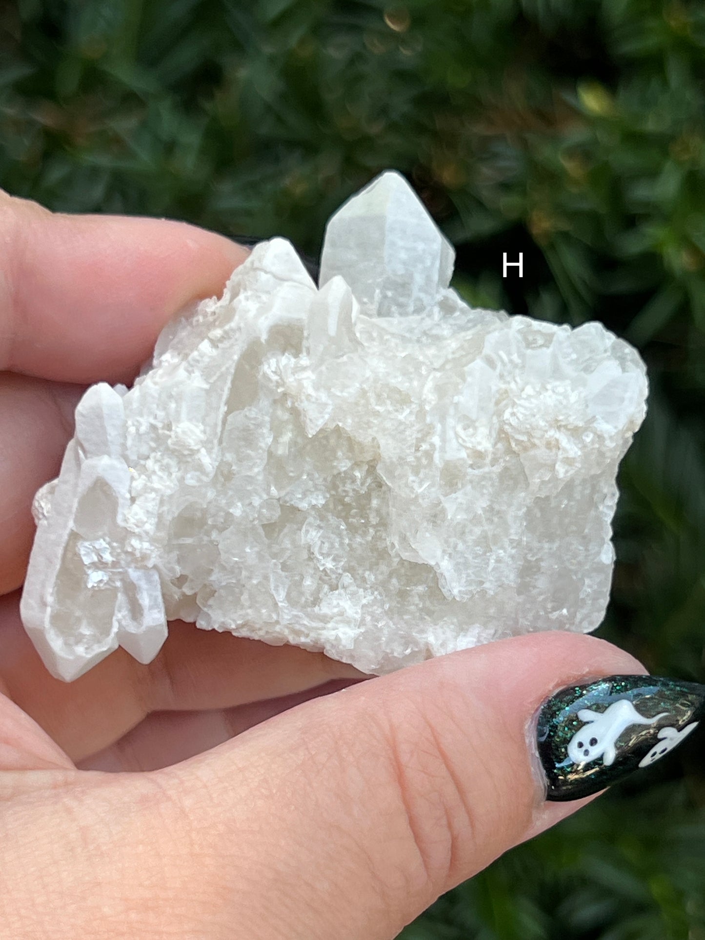 Goddess Quartz Clusters || Choose Your Own Crystal!