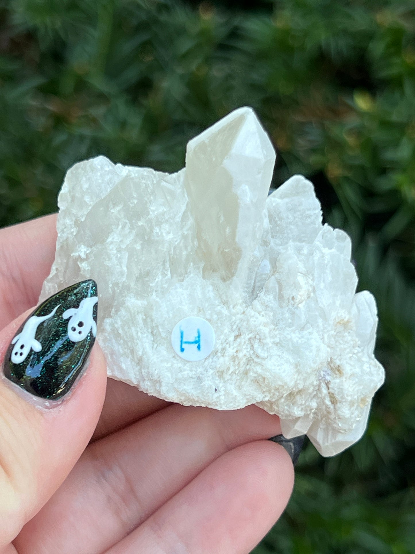 Goddess Quartz Clusters || Choose Your Own Crystal!