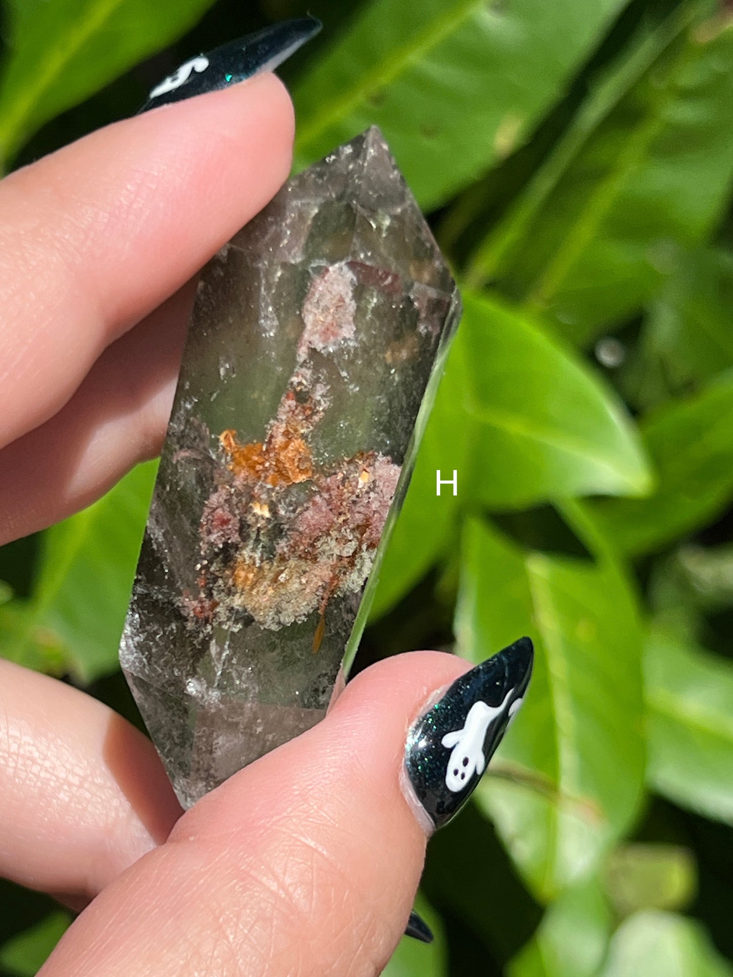 Garden Quartz Double-Terminated Points || Choose Your Own Crystal!