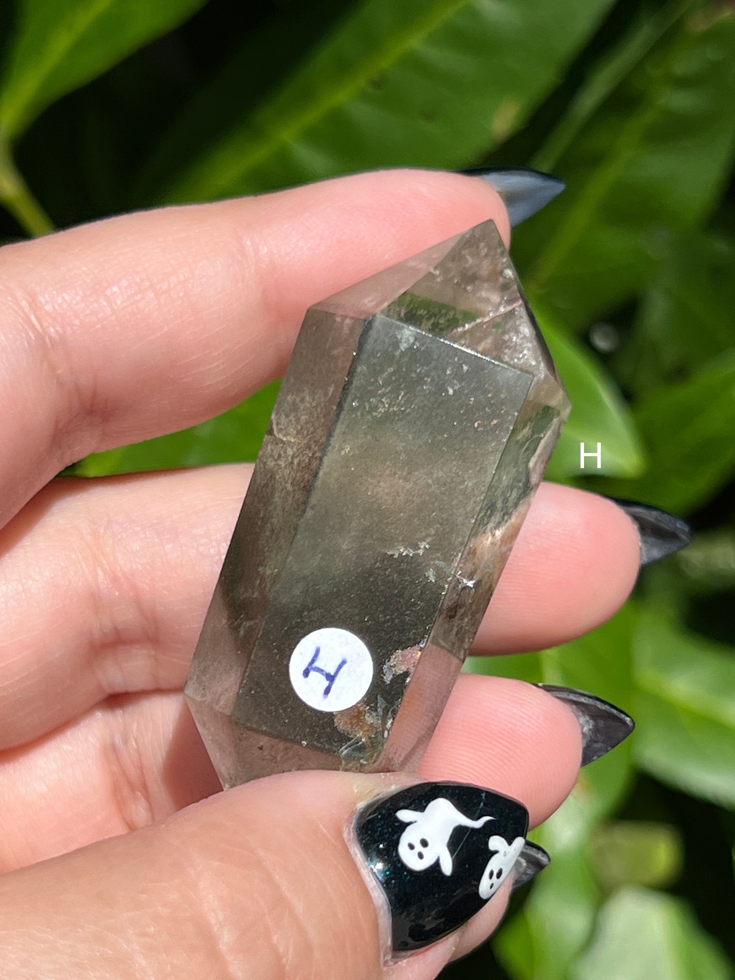 Garden Quartz Double-Terminated Points || Choose Your Own Crystal!