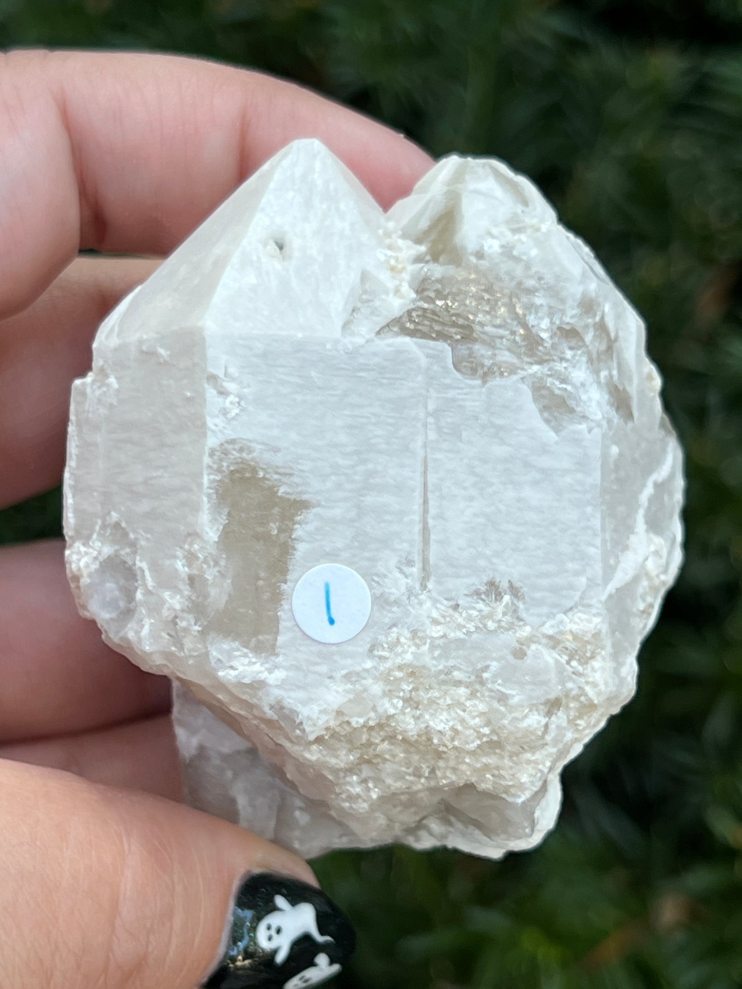 Goddess Quartz Clusters || Choose Your Own Crystal!