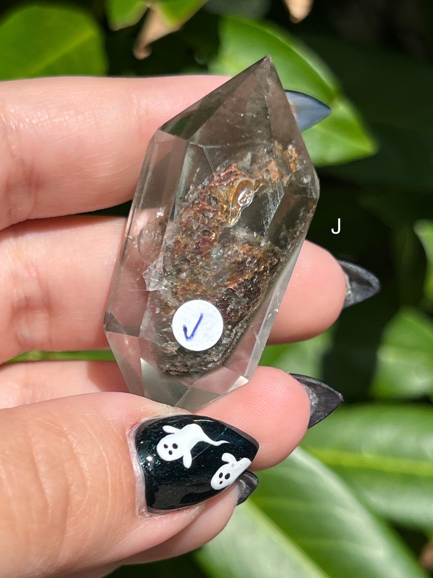 Garden Quartz Double-Terminated Points || Choose Your Own Crystal!