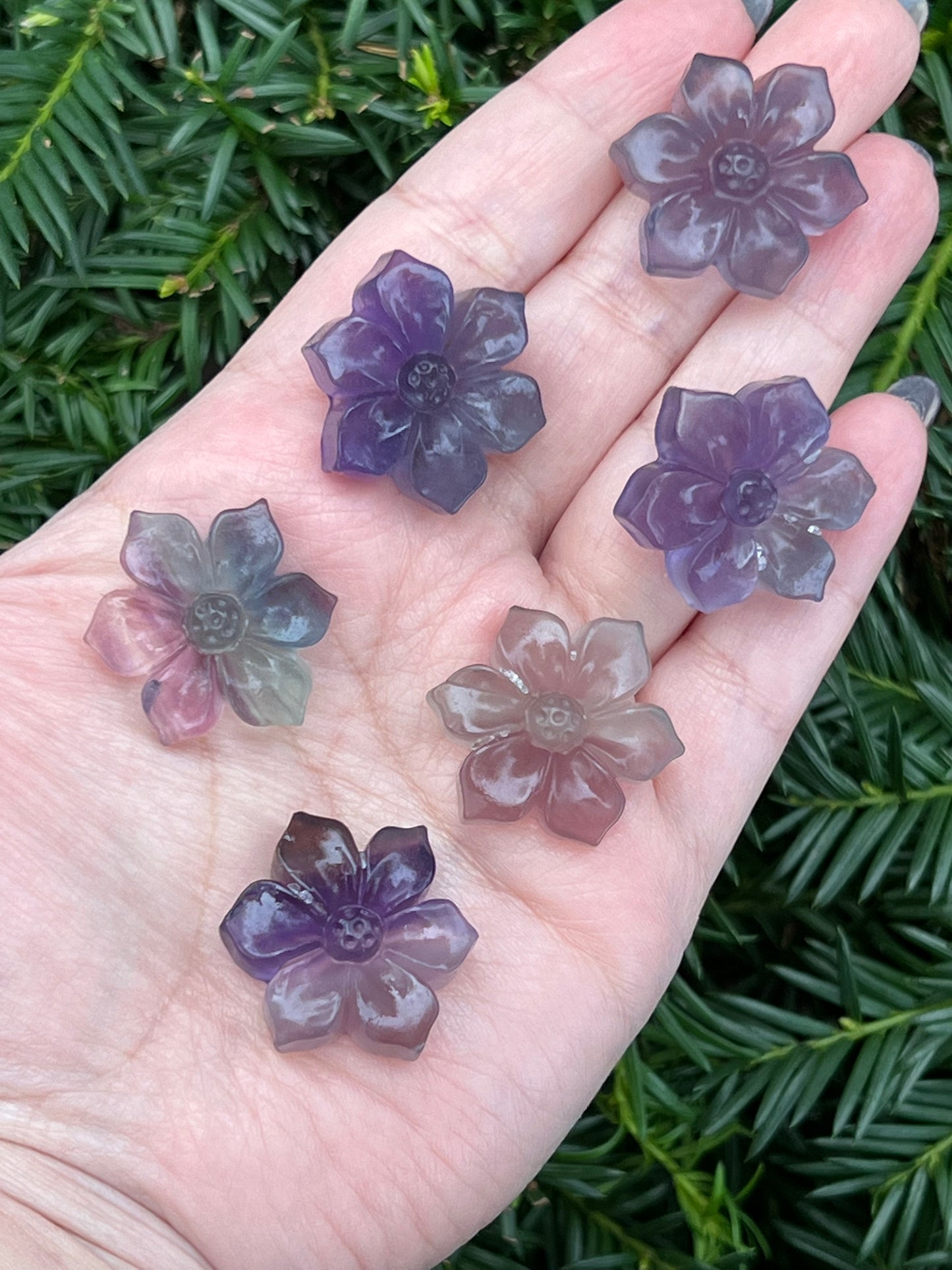 Fluorite Flowers || Intuitively Selected Fluorite Flowers