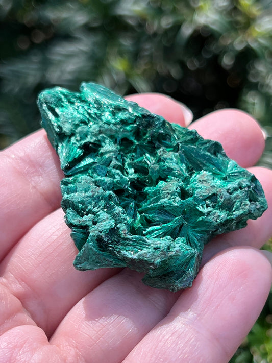 Fibrous Malachite Specimens || Choose Your Own Crystal!