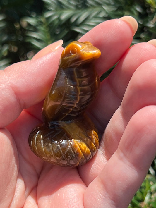 Tigers Eye Cobras || Intuitively Selected Tigers Eye Cobras