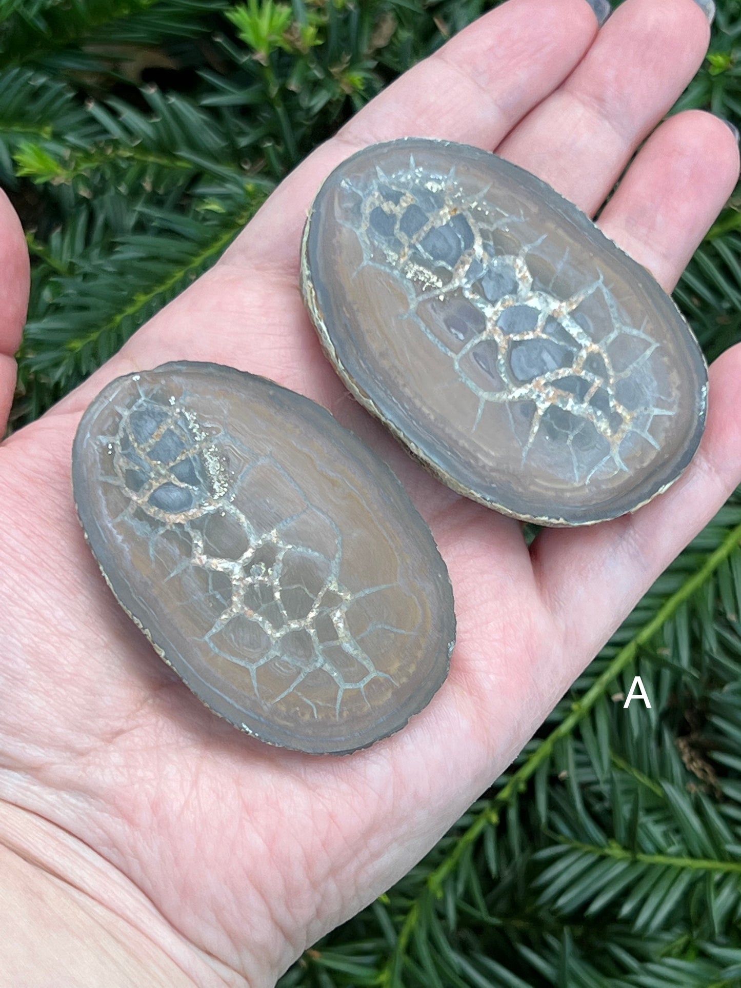 Septarian Nodes || Choose Your Own Crystal!