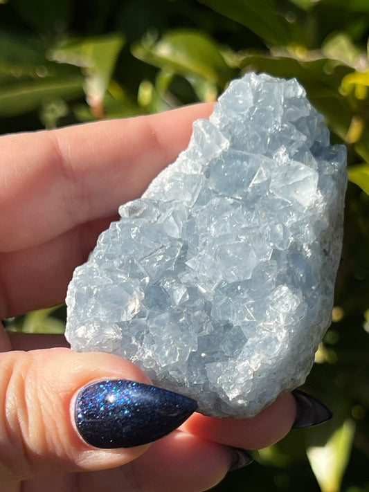 Celestite Clusters || Choose Your Own Crystal!