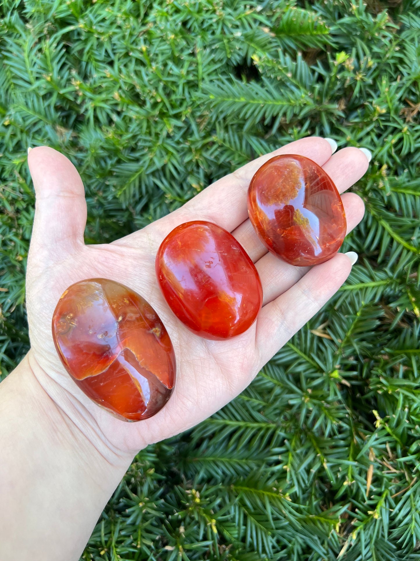 Carnelian Palm Stones || Intuitively Selected Palm Stones