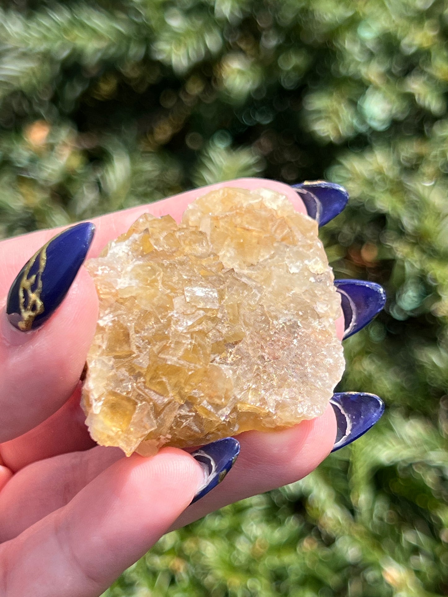 Yellow Fluorite Cluster || Choose Your Own Crystal!