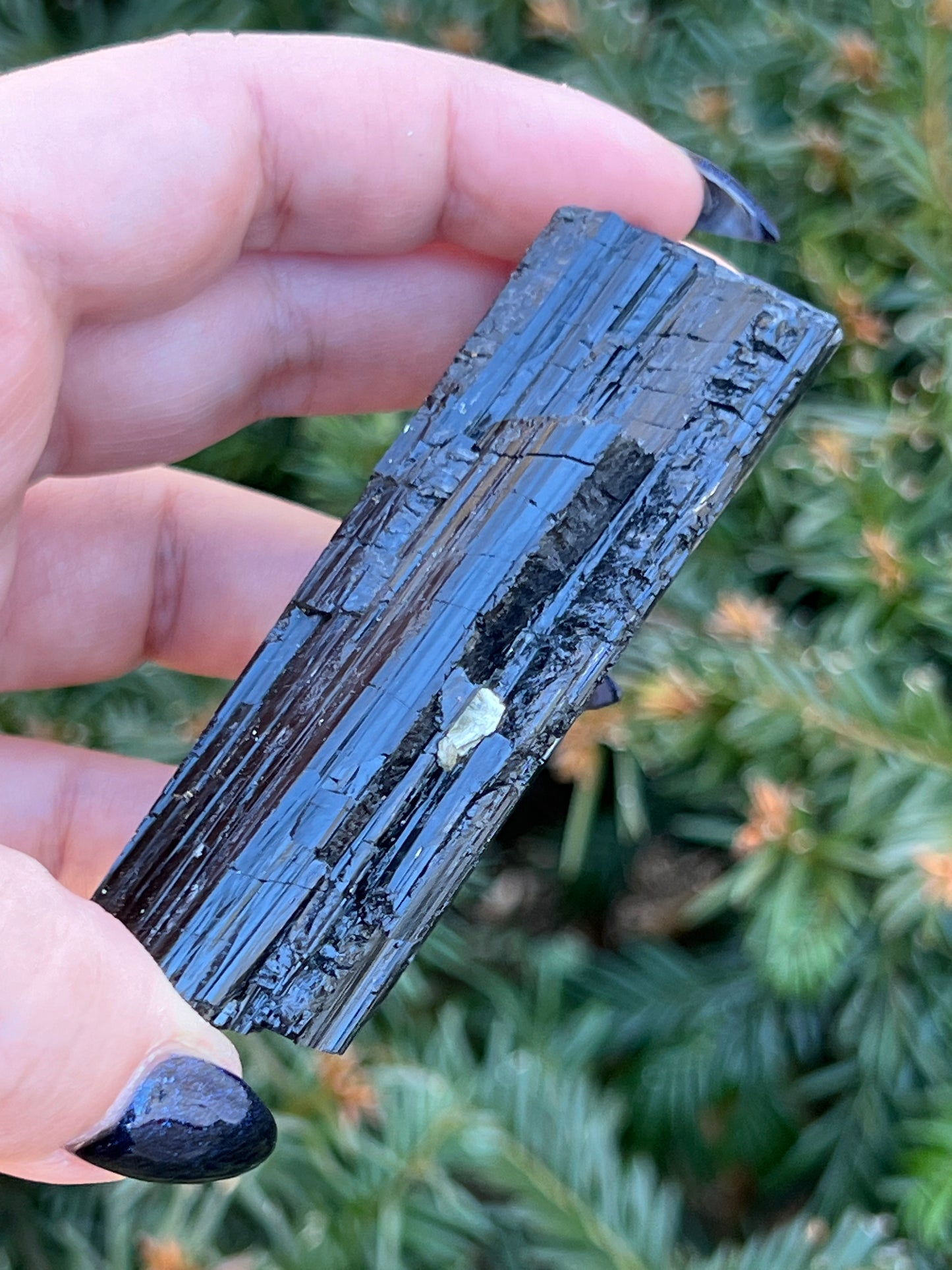 Raw Black Tourmaline || Intuitively Selected Crystal image 2