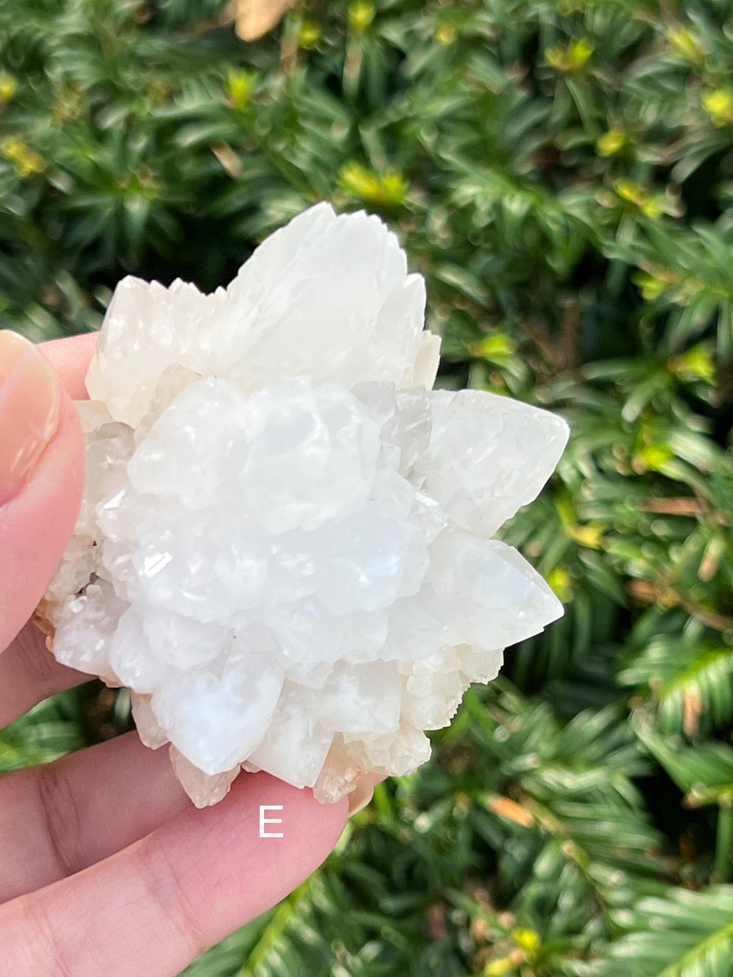 Moroccan Clear Quartz Clusters || Choose Your Own Crystal! image 7