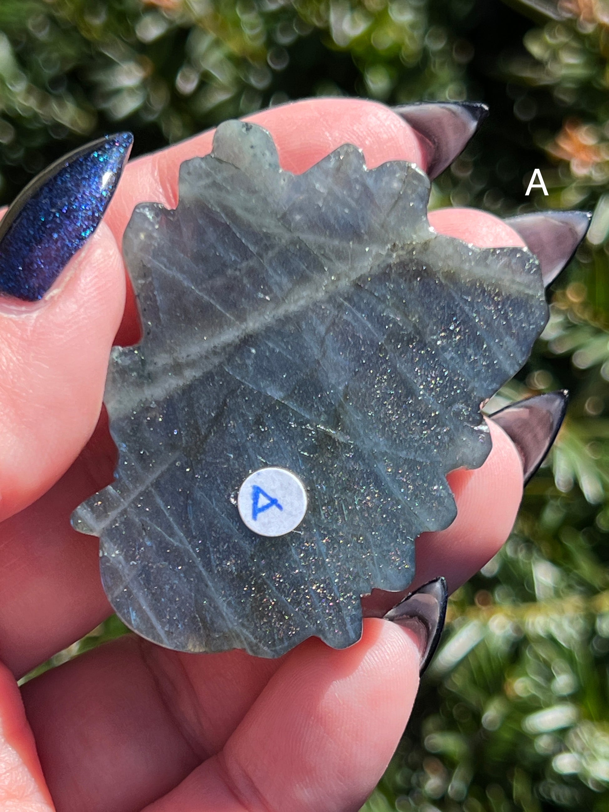 Labradorite Medusa || Choose Your Own Crystal! image 2