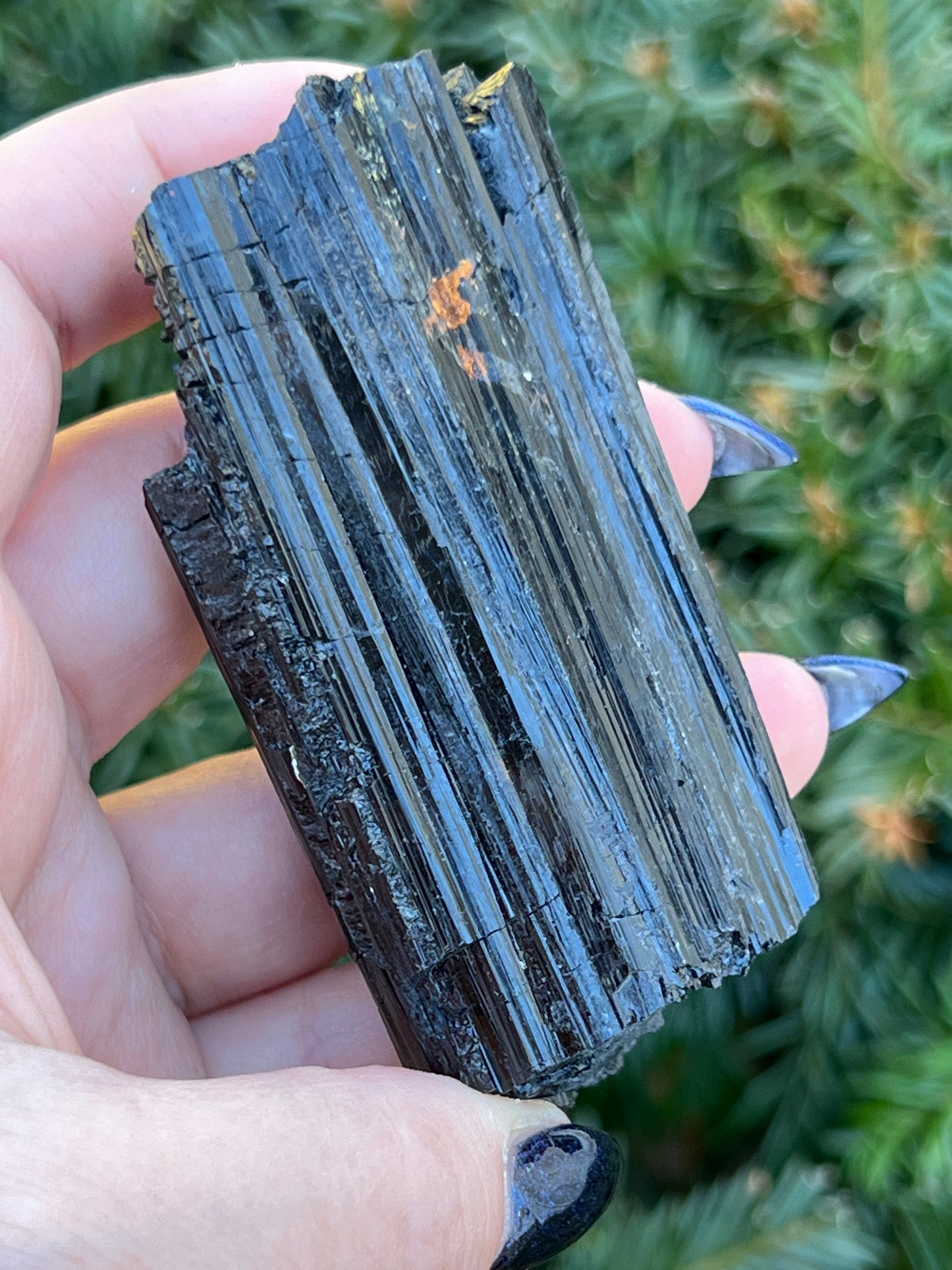 Raw Black Tourmaline || Intuitively Selected Crystal image 1