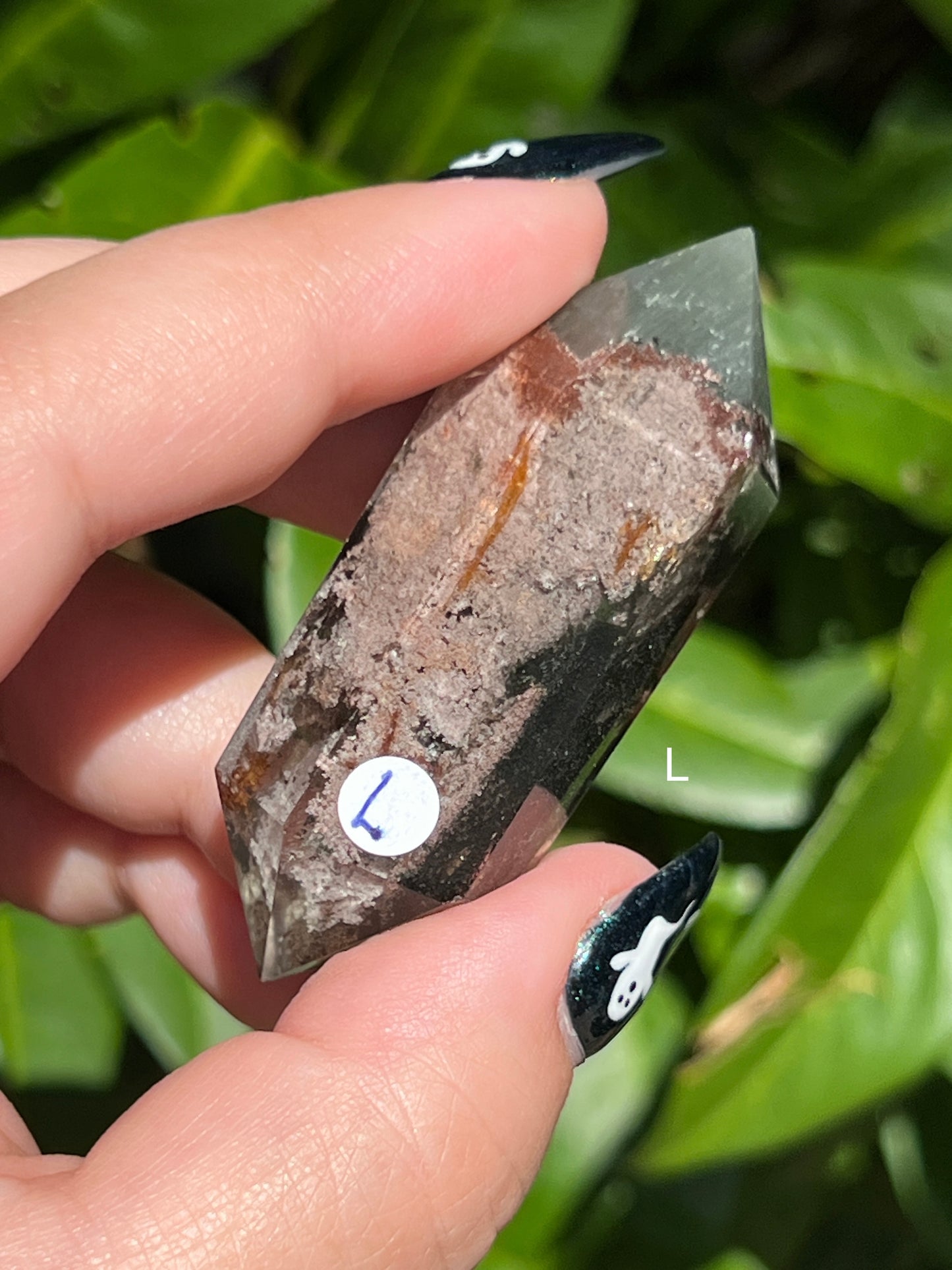 Garden Quartz Double-Terminated Points || Choose Your Own Crystal!