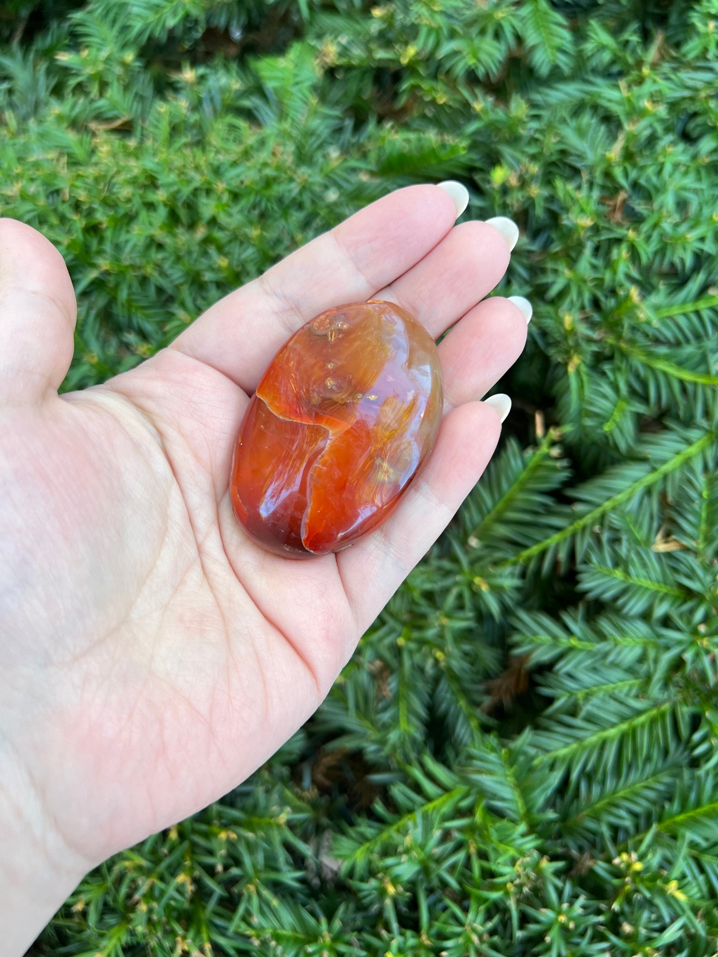 Carnelian Palm Stones || Intuitively Selected Palm Stones