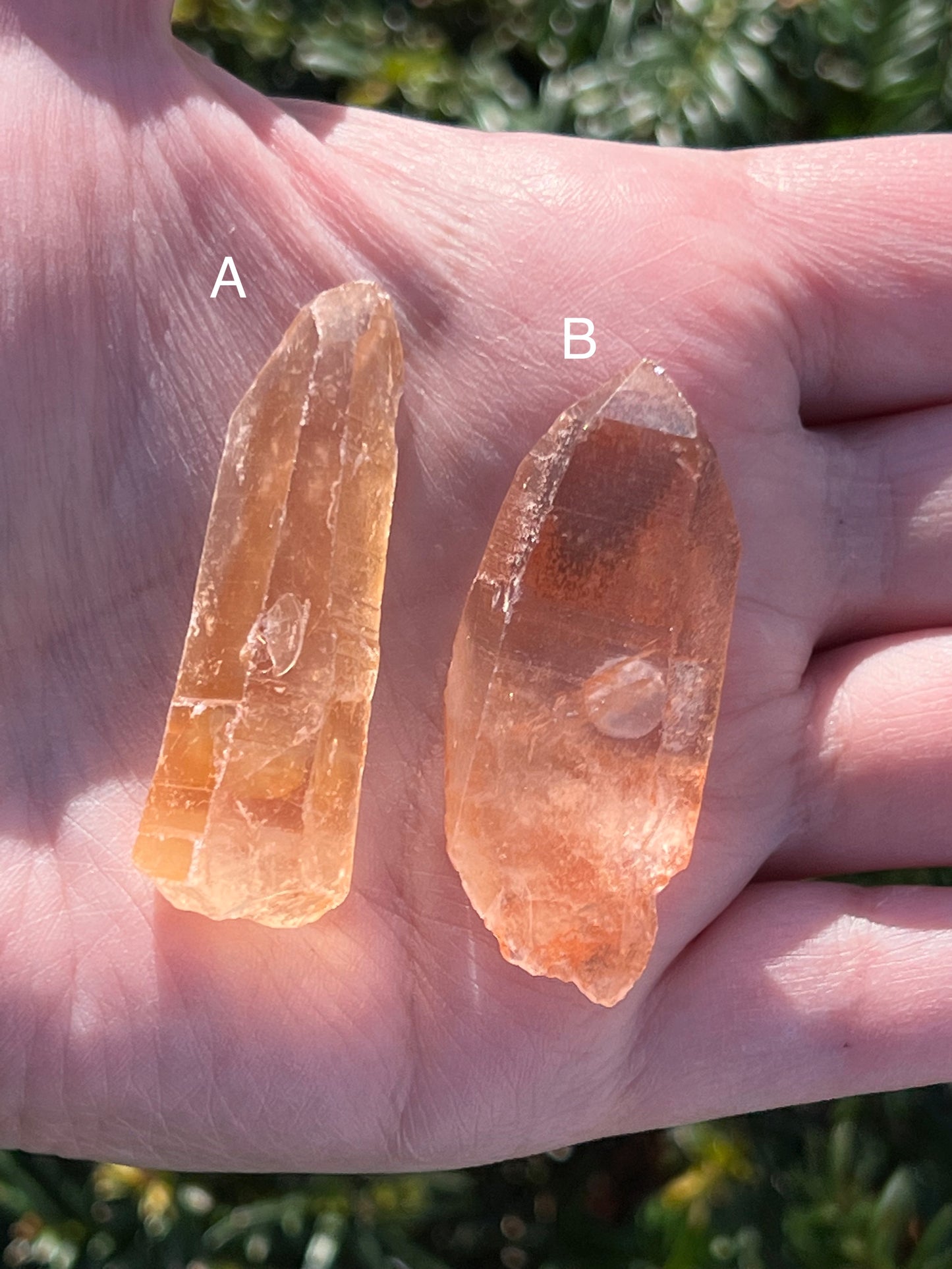 Tangerine Lemurian Quartz || Choose Your Own Crystal!