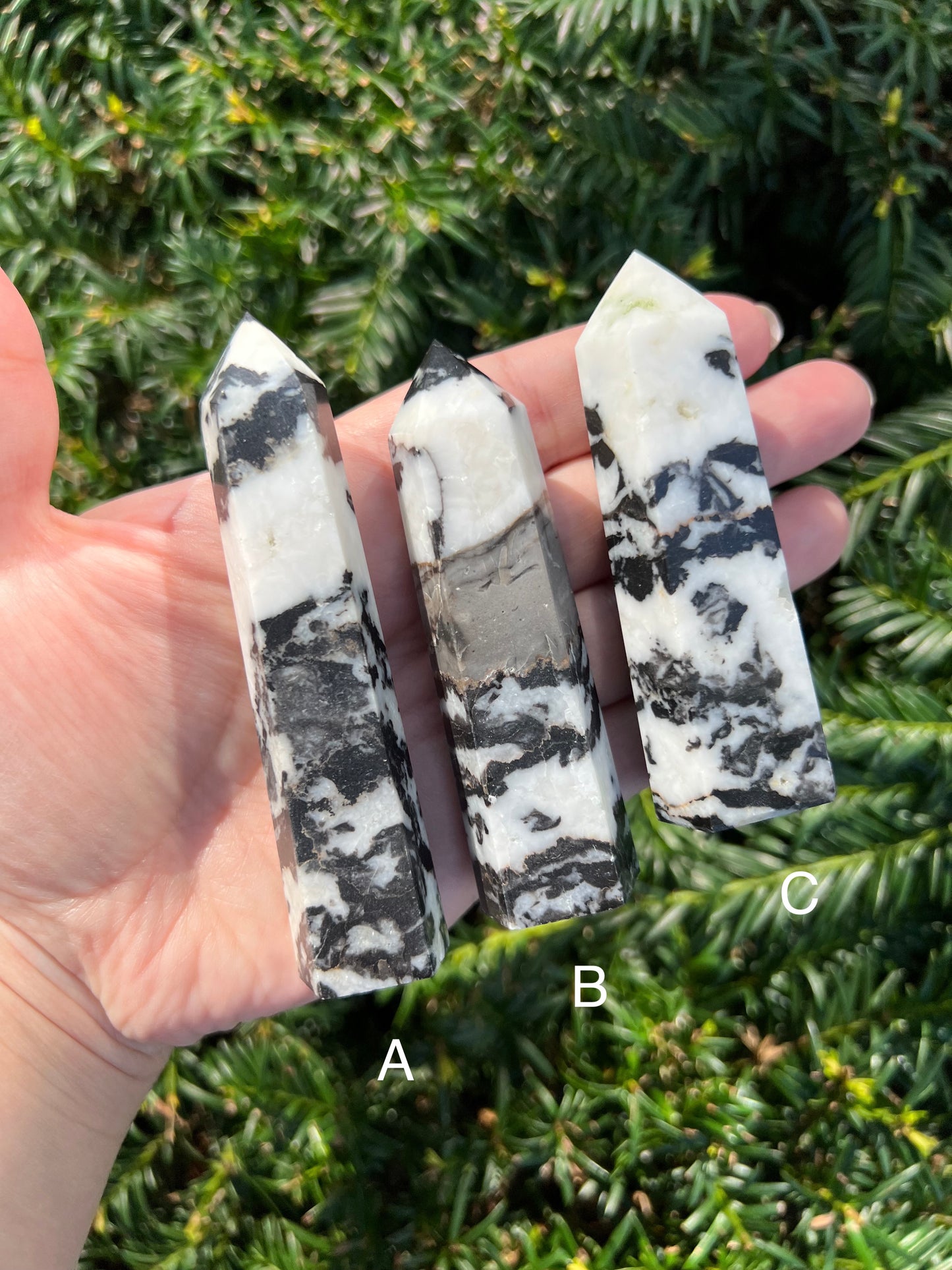 Zebra Stone Towers || Choose Your Own Crystal!