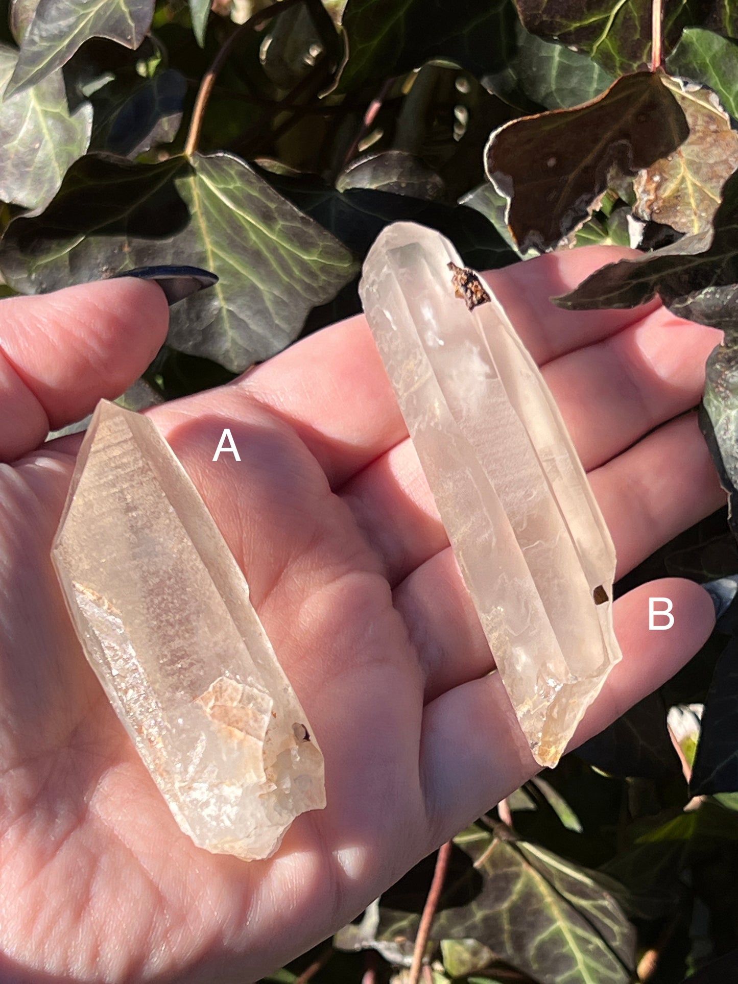 Smoky Lemurian Quartz || Choose Your Own Crystal!