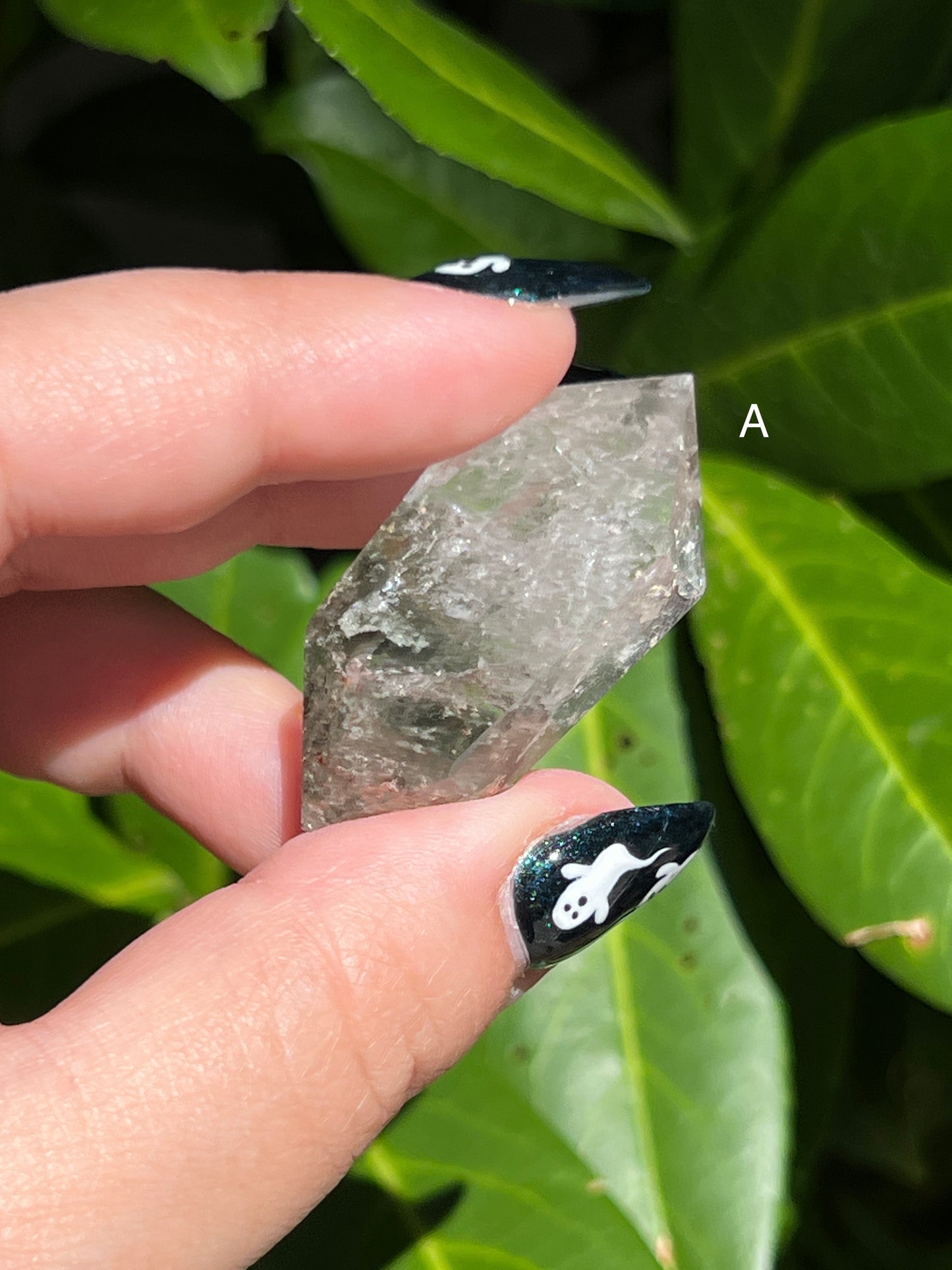 Garden Quartz Double-Terminated Points || Choose Your Own Crystal!