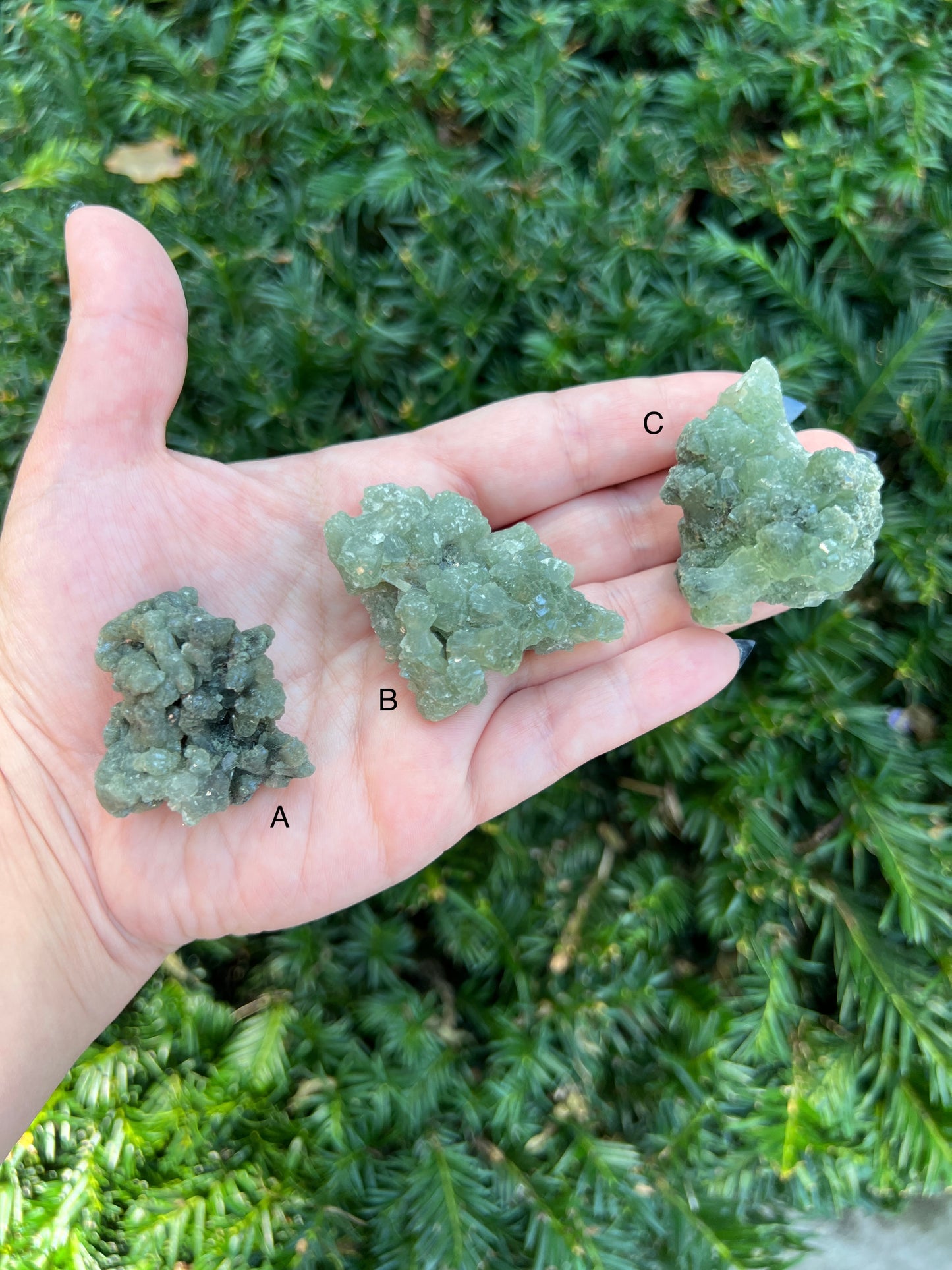 Prehnite & Epidote Clusters || Choose Your Own Crystal