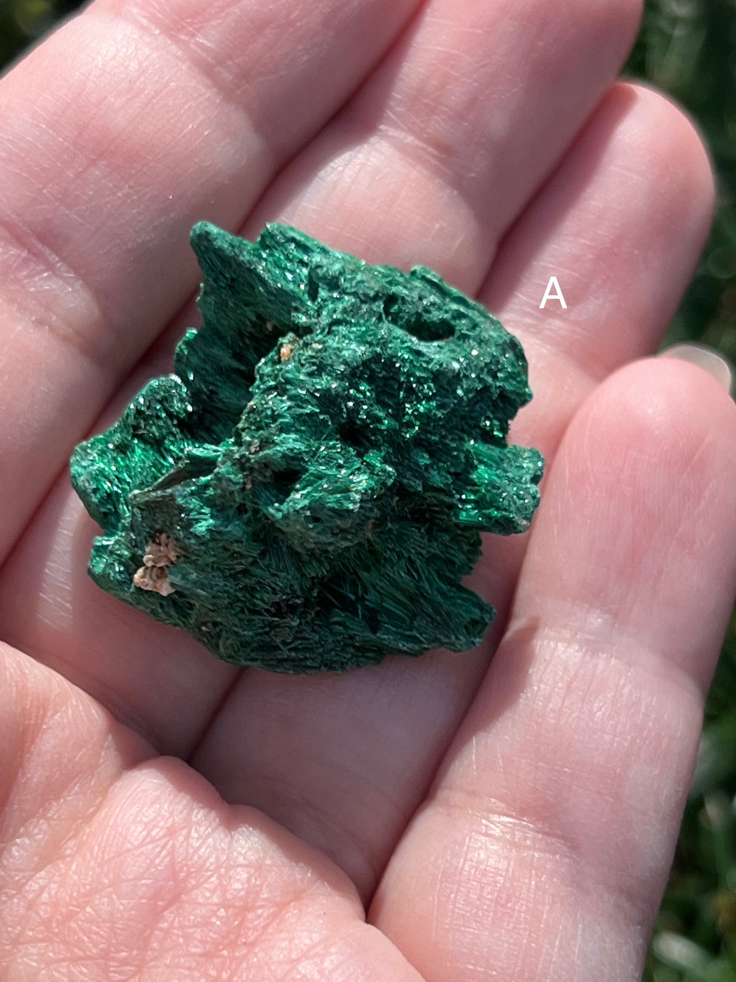 Fibrous Malachite Specimens || Choose Your Own Crystal!