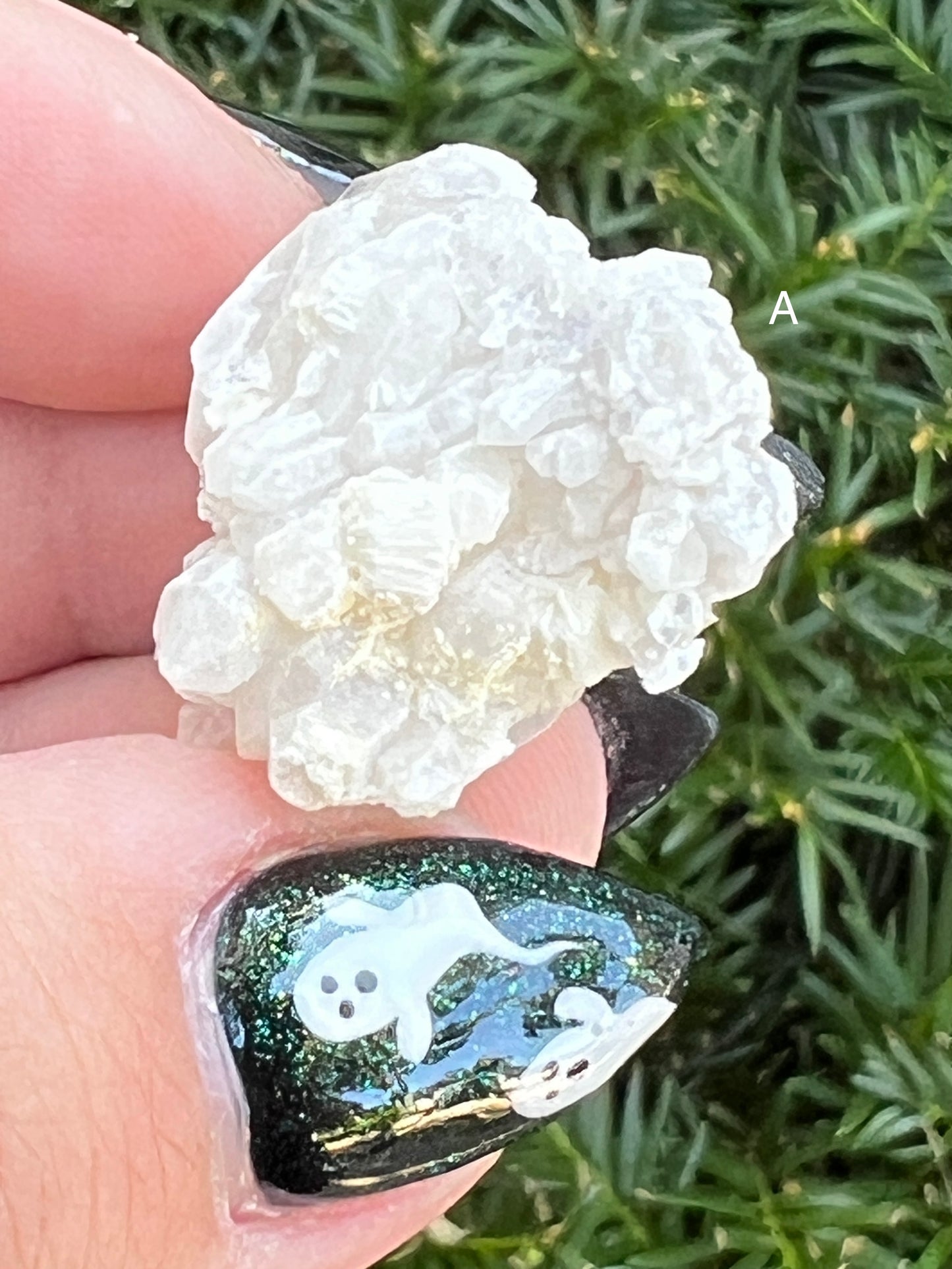 Goddess Quartz Clusters || Choose Your Own Crystal!