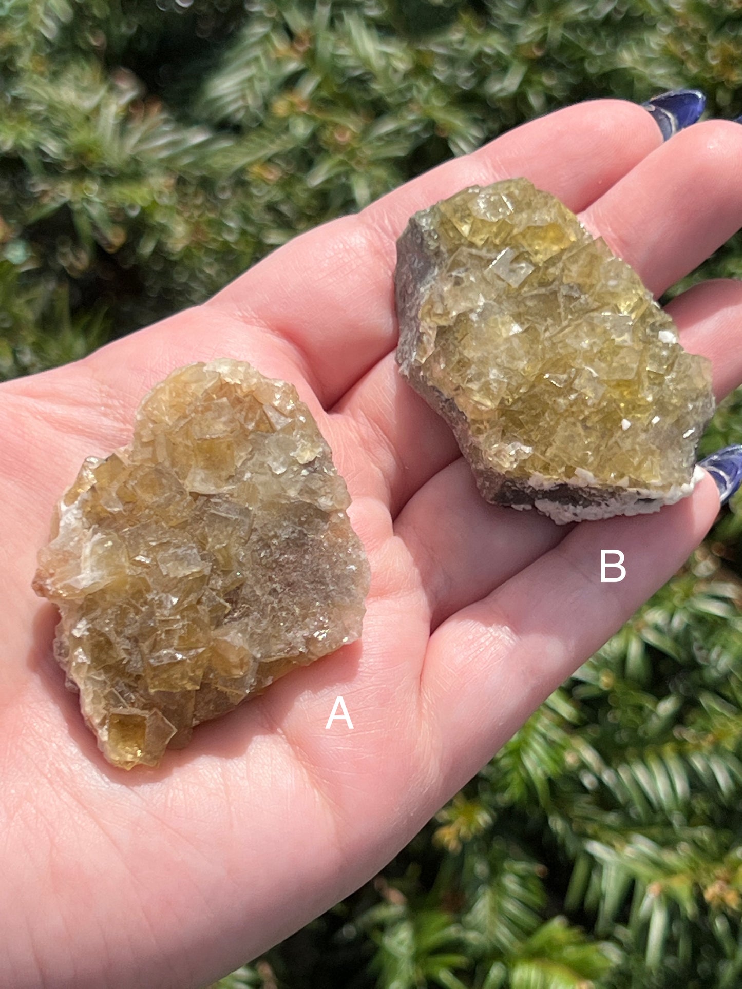 Yellow Fluorite Cluster || Choose Your Own Crystal!