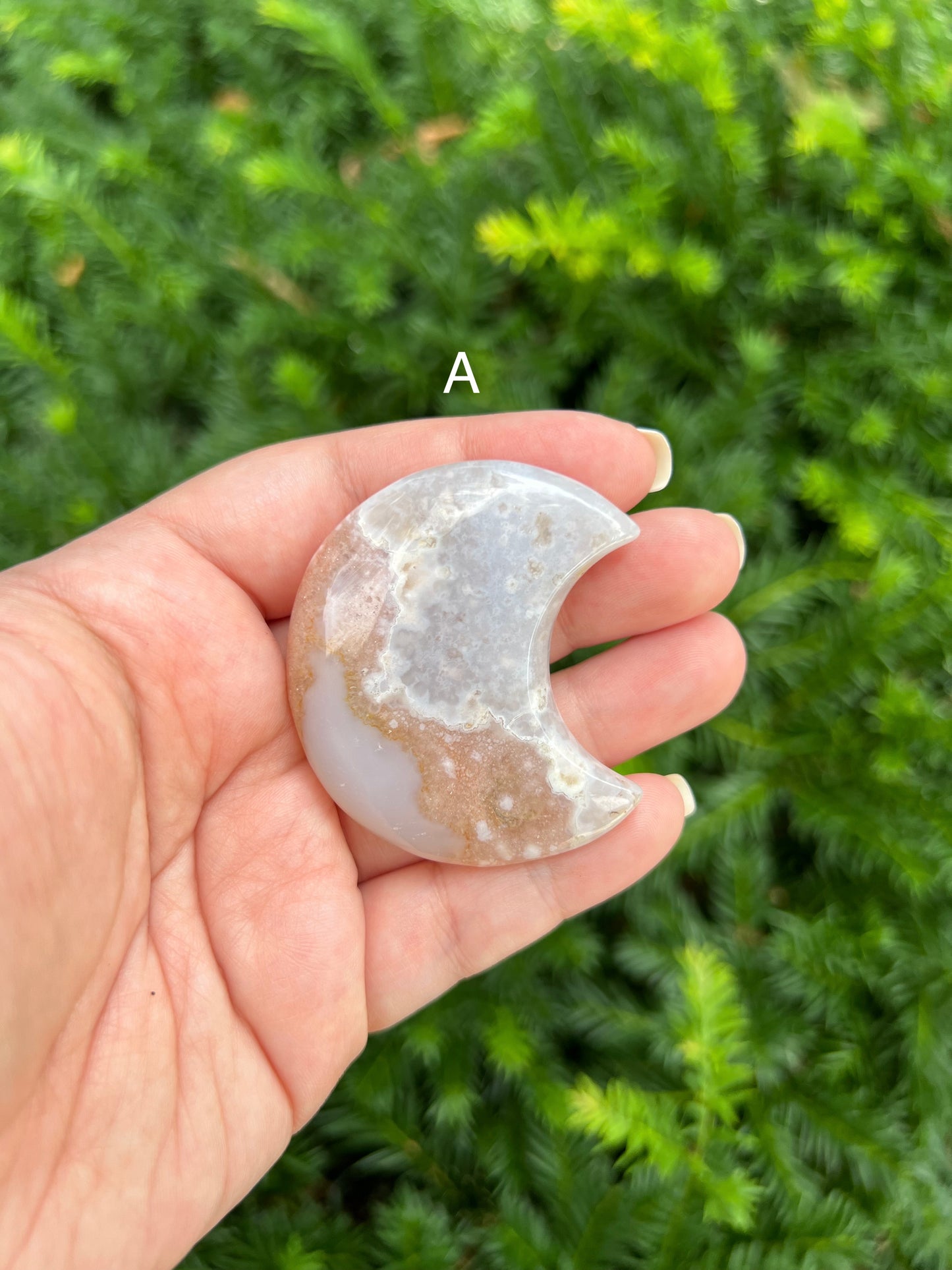 Flower Agate Moons || Choose Your Own Crystal!