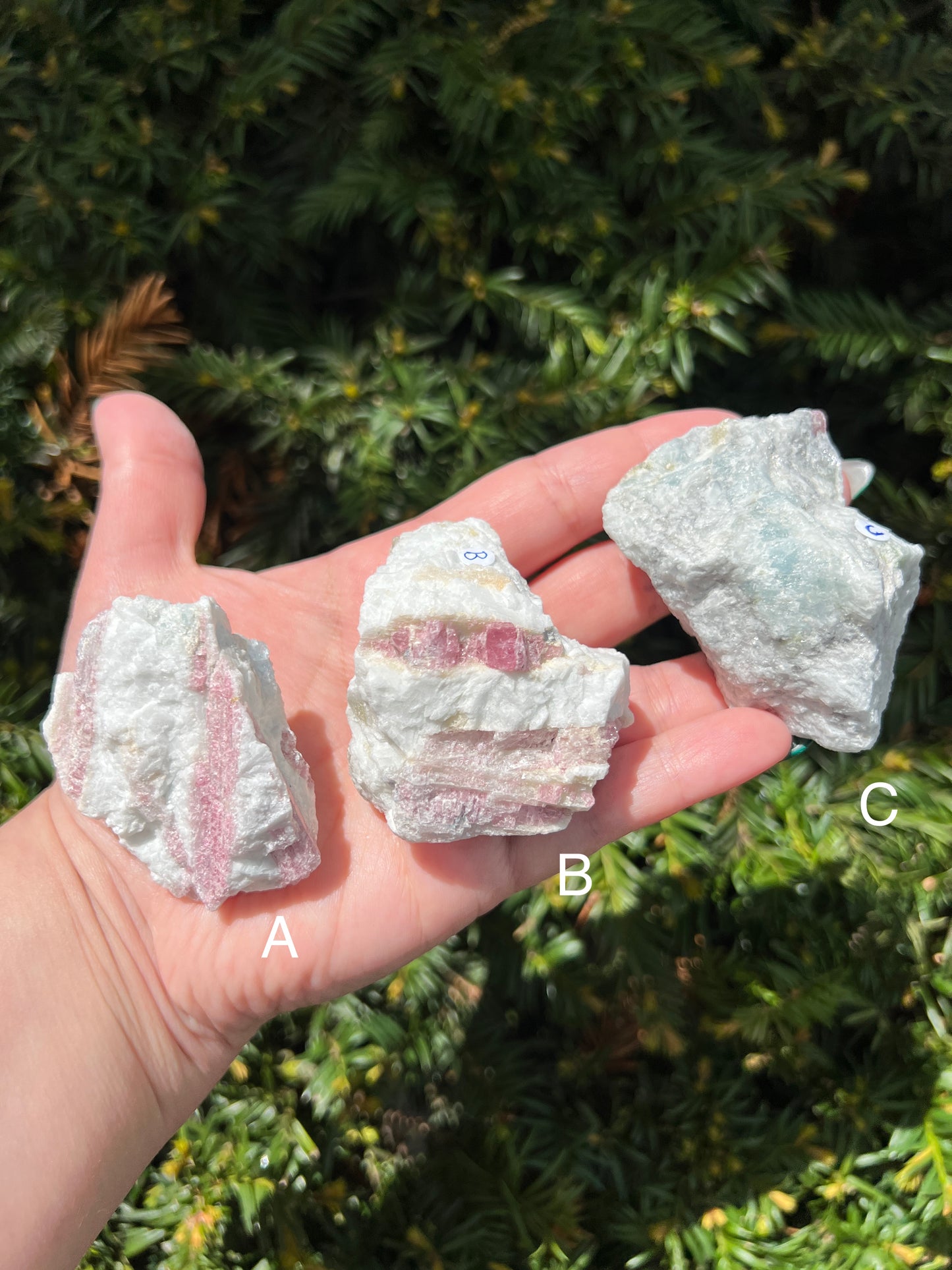 Aquamarine and Pink Tourmaline Clusters || Choose Your Own Crystal!